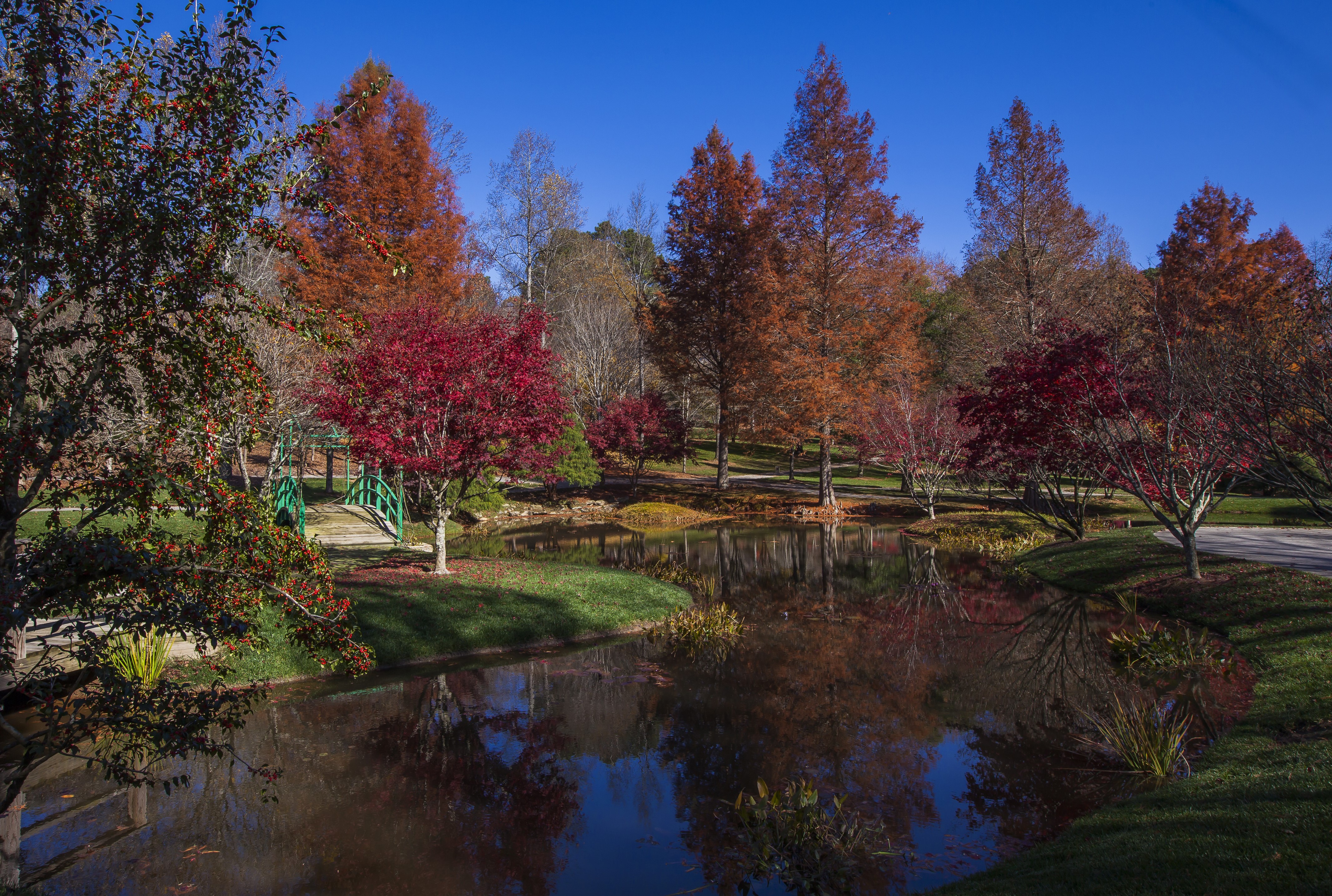 Autumn at Gibbs Gardens with Pond and Trees HD Wallpaper