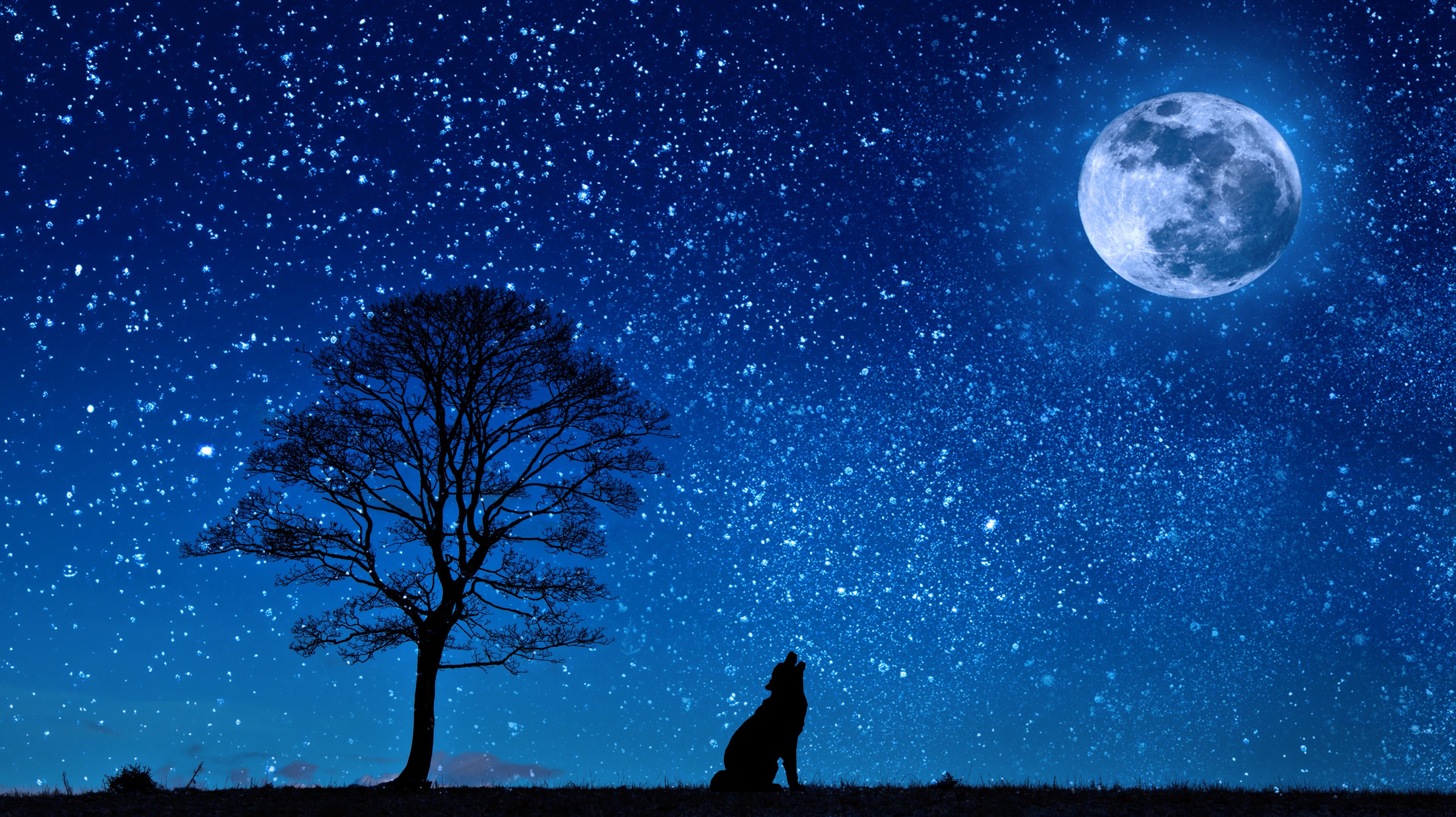 Wolf howling at the moon under a starry sky HD Wallpaper
