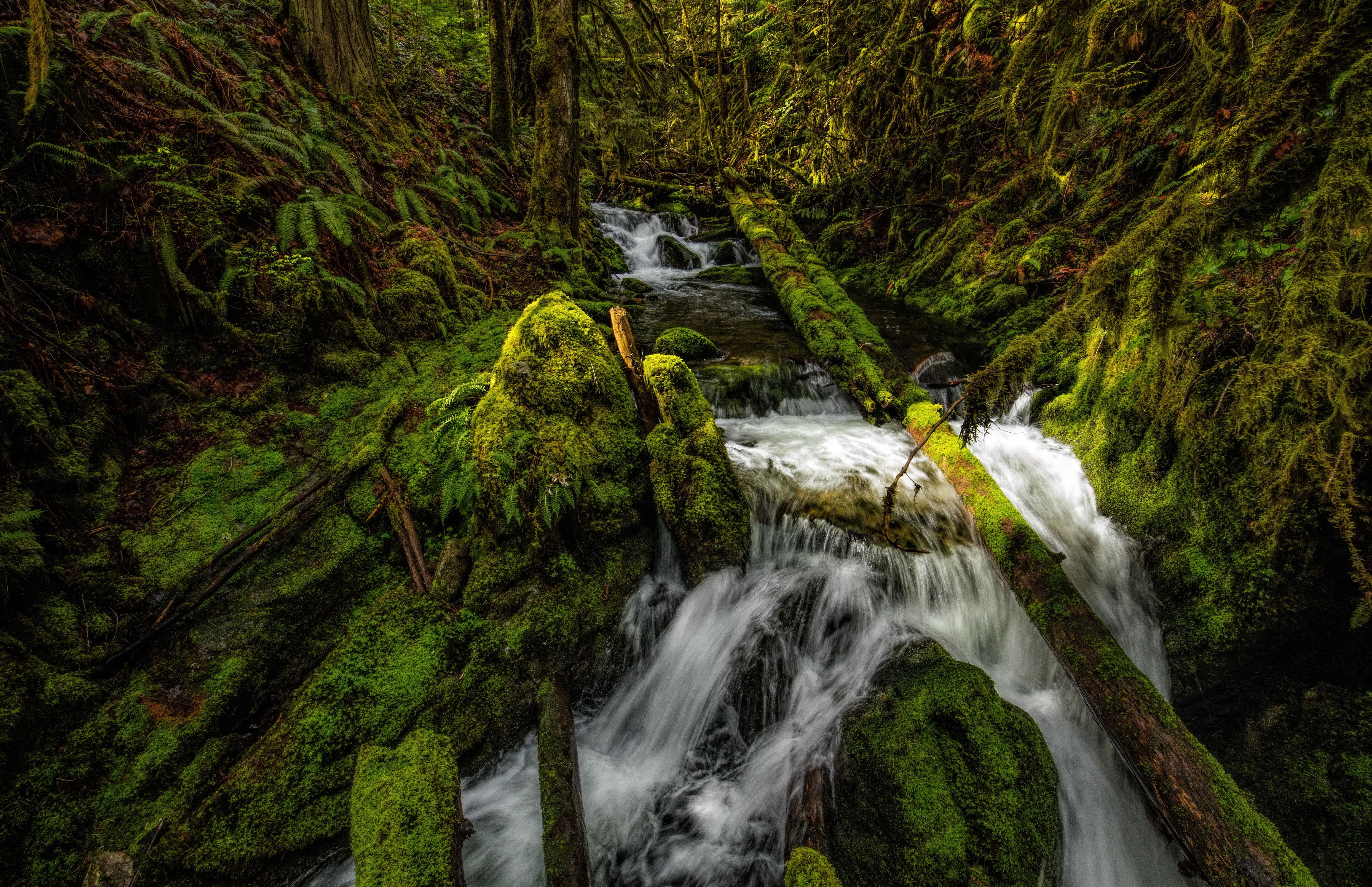 Mossy Waterfall and Logs in Forest HD Wallpaper