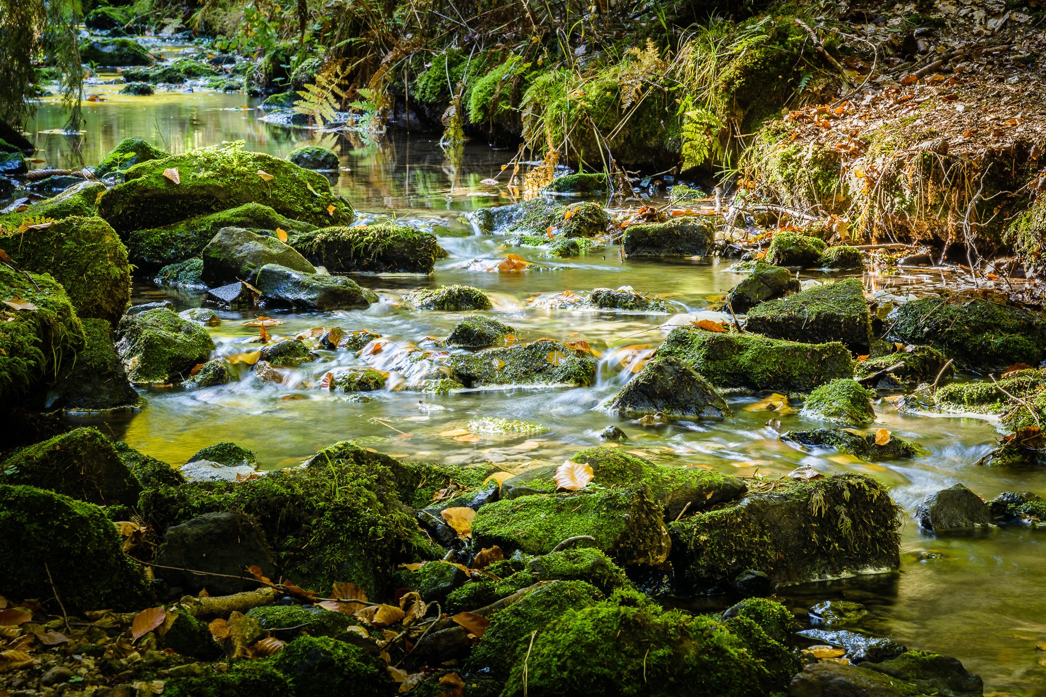 Mossy rocks in a shallow stream in Germany HD Wallpaper