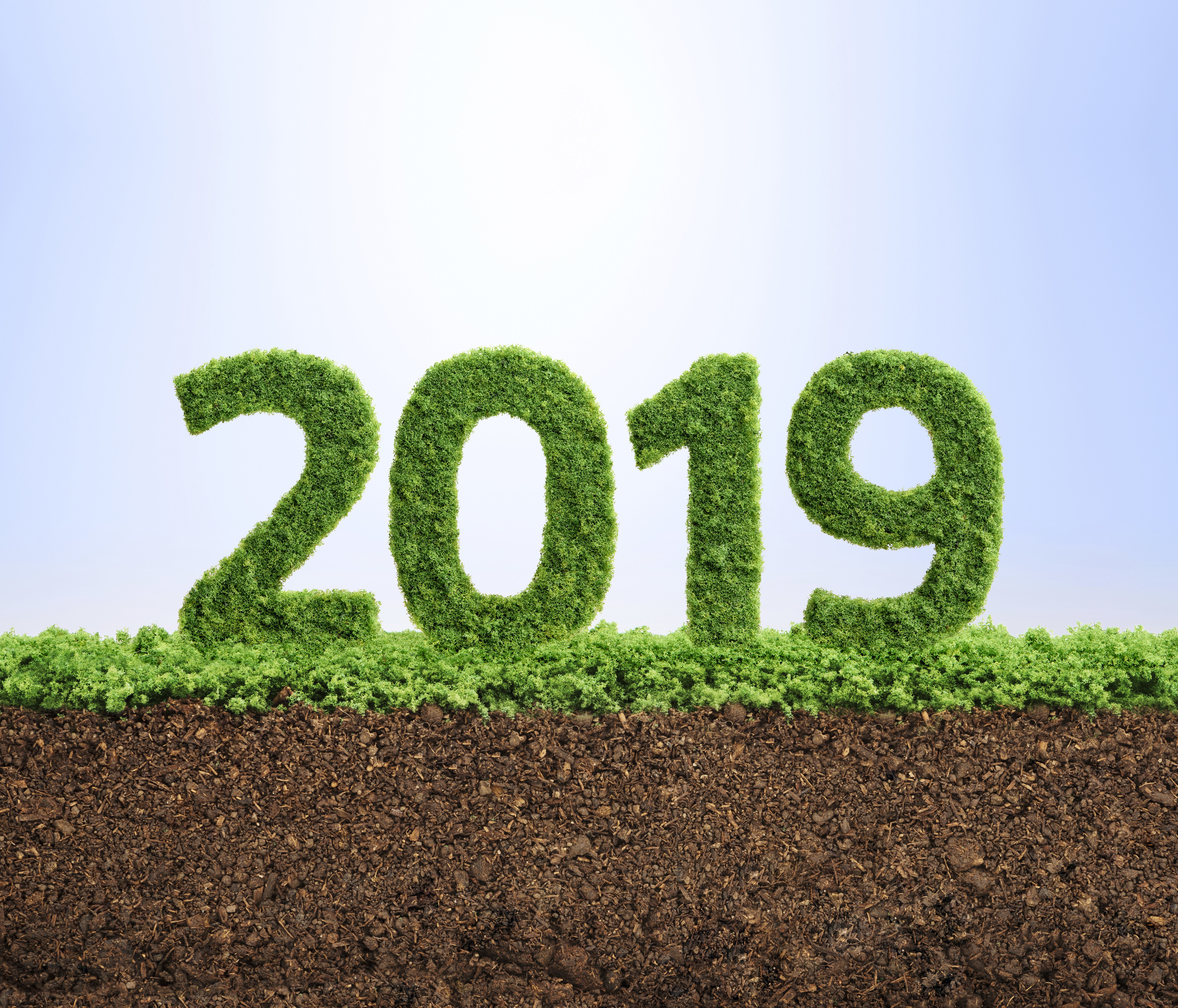 2019 grass numbers on soil HD Wallpaper