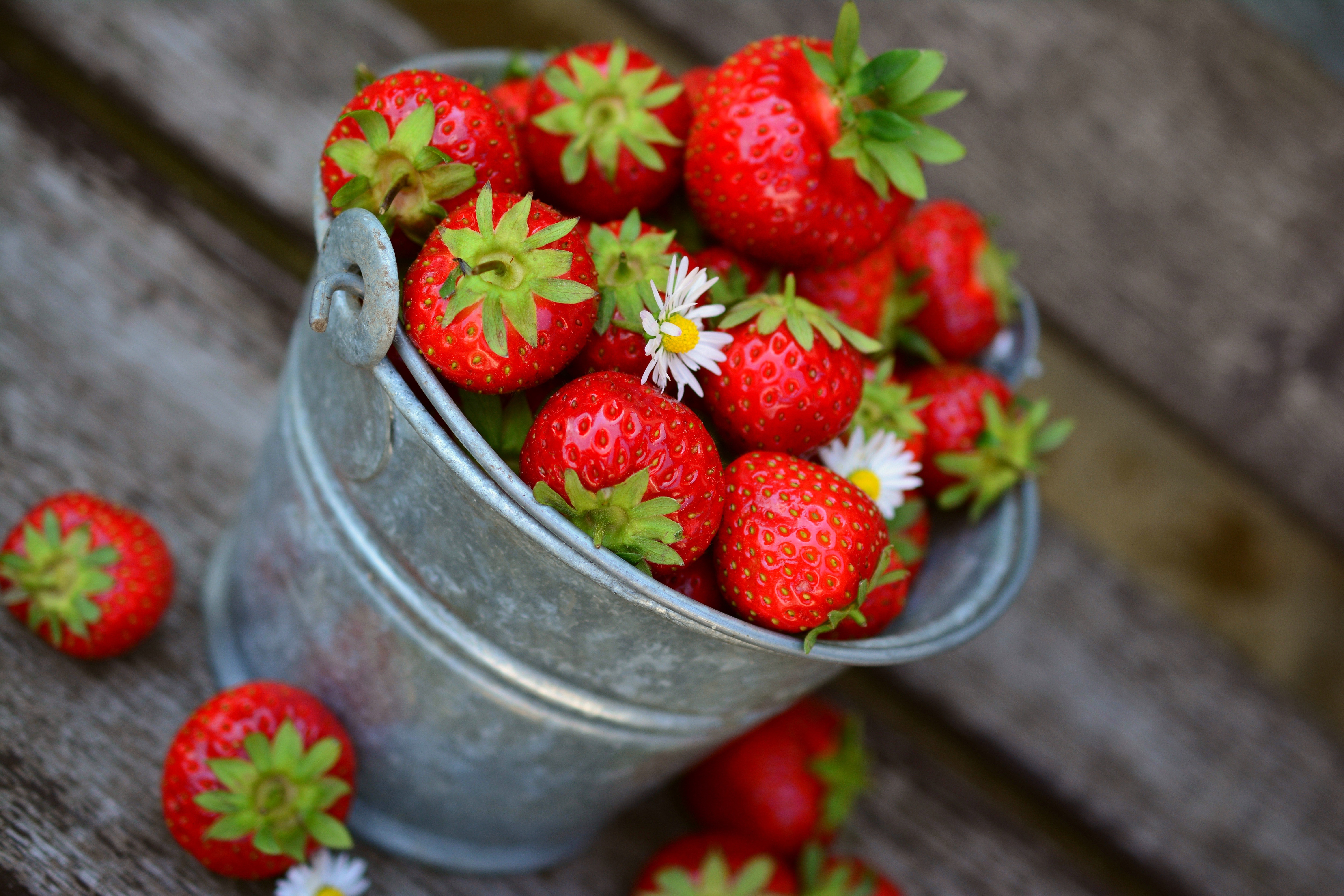 Strawberries in a bucket HD Wallpaper