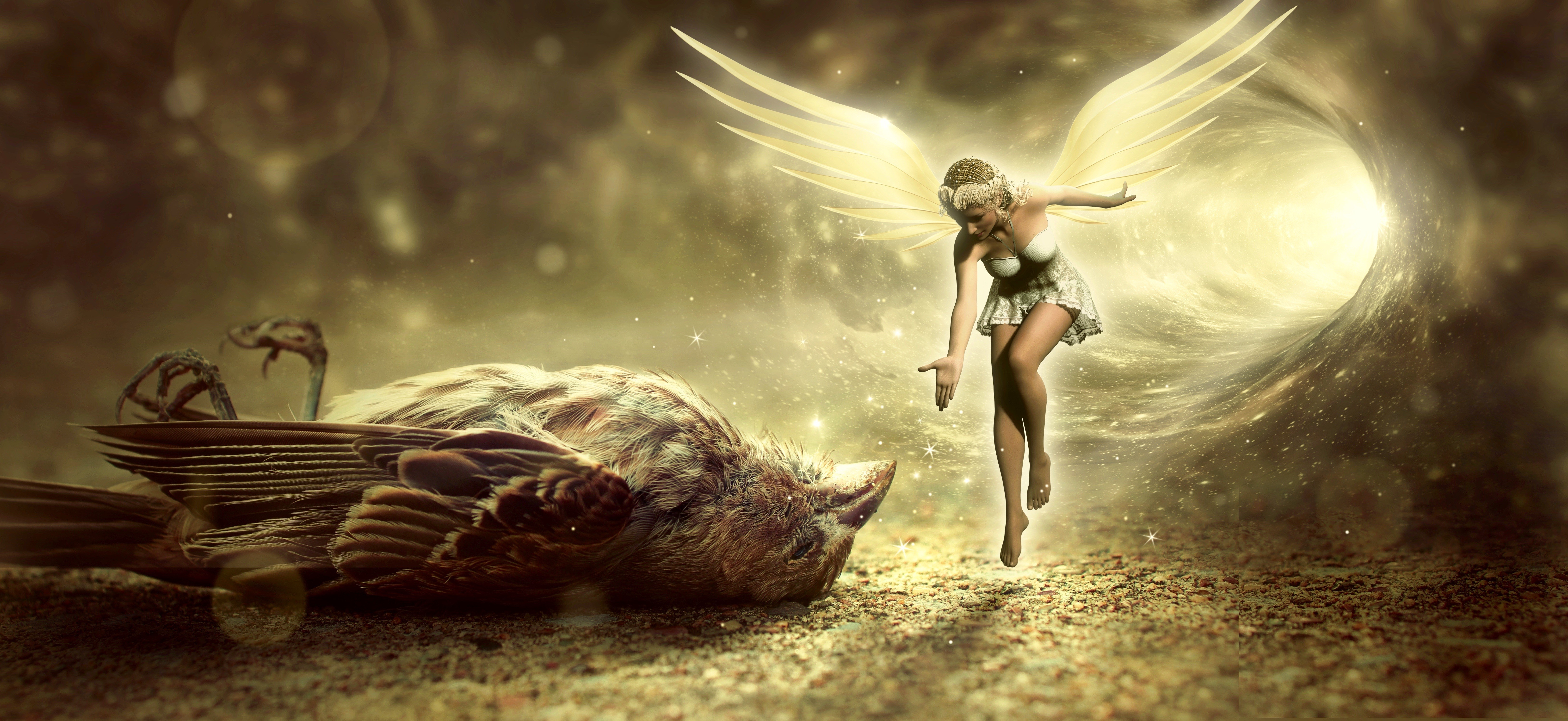 Fairy reaching for a dead sparrow in a tunnel HD Wallpaper