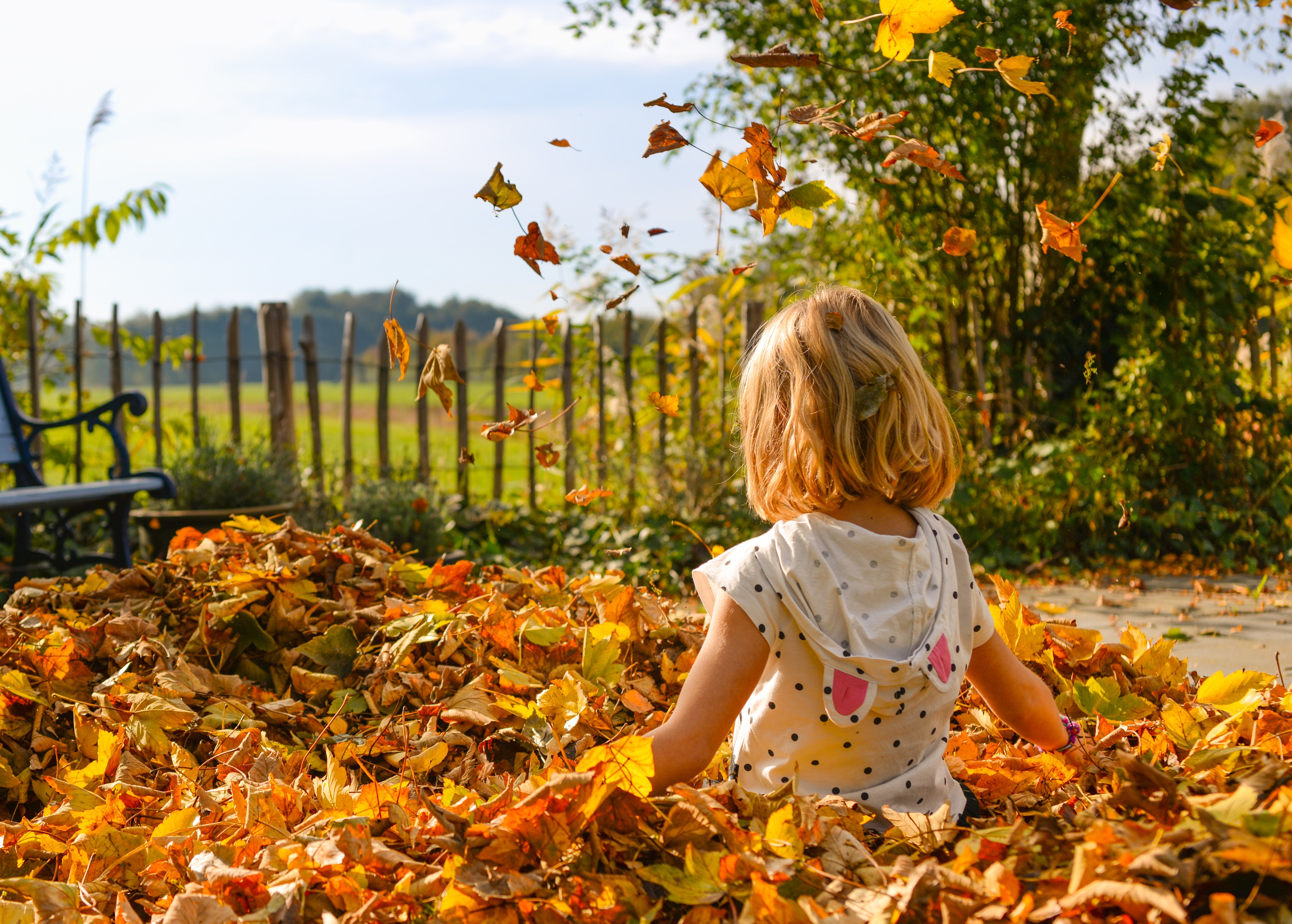 Little girl sitting in a pile of autumn leaves HD Wallpaper