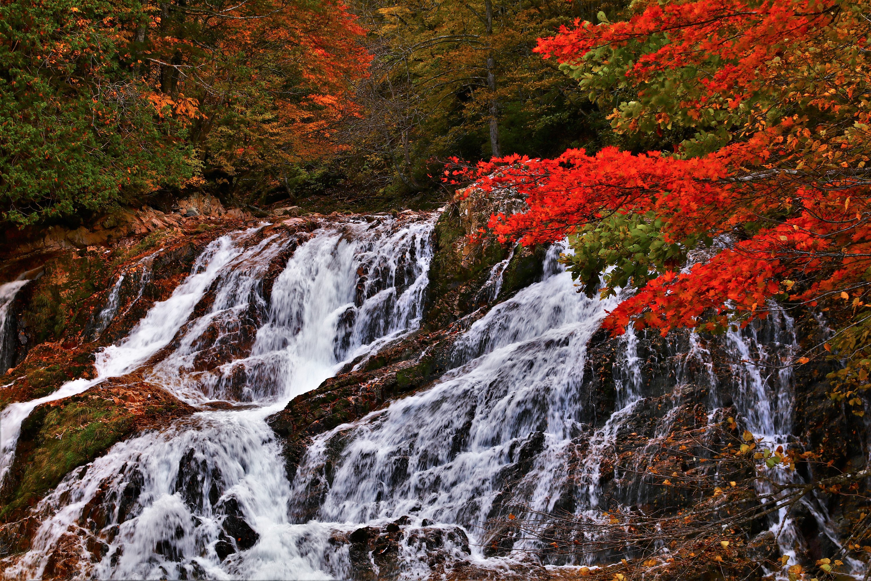 Waterfall in Takayama, Gifu Prefecture, Japan during Autumn HD Wallpaper