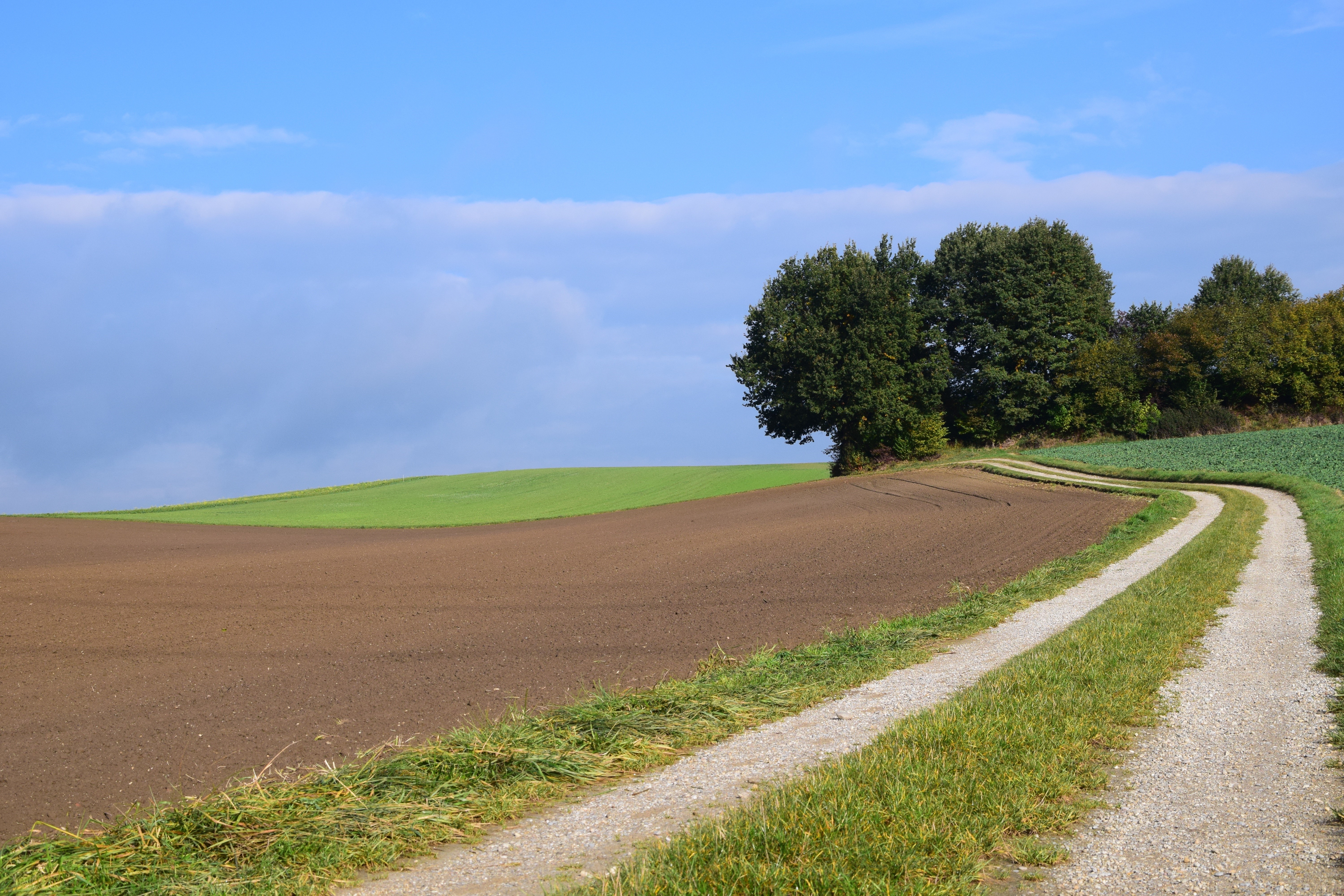 Fields and Roads under a Blue Sky HD Wallpaper