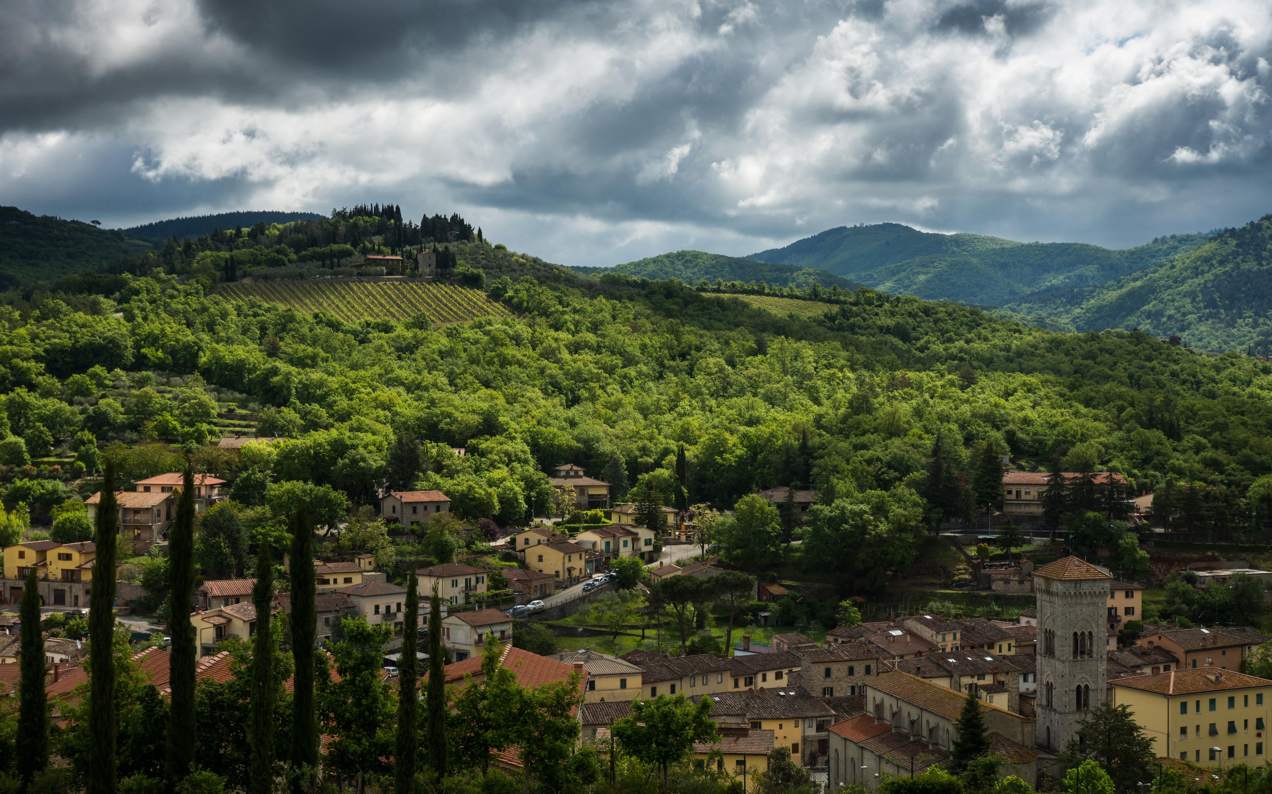 Houses and Forests in Chianti, Italy HD Wallpaper