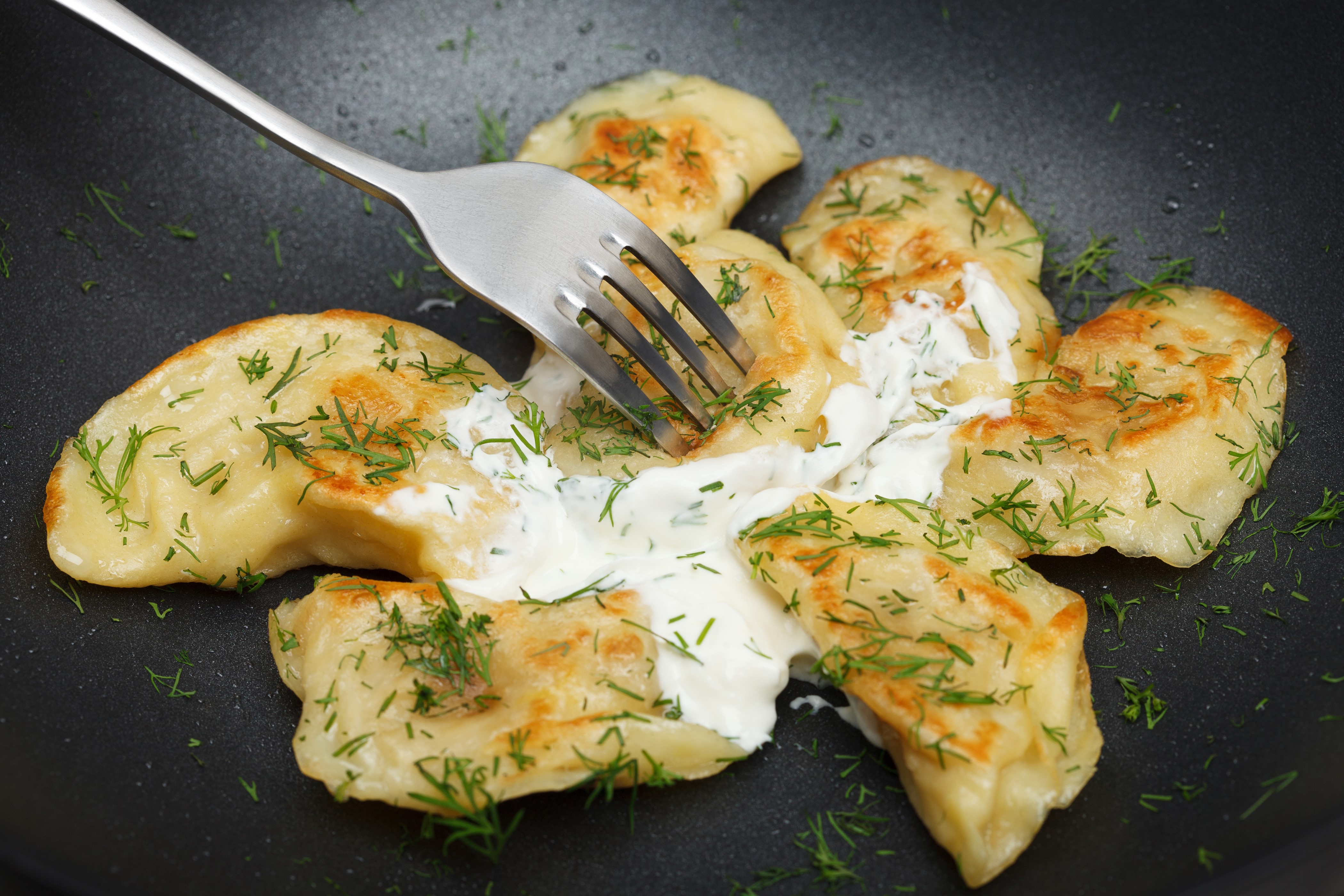 Pierogi with dill and sour cream on a fork HD Wallpaper