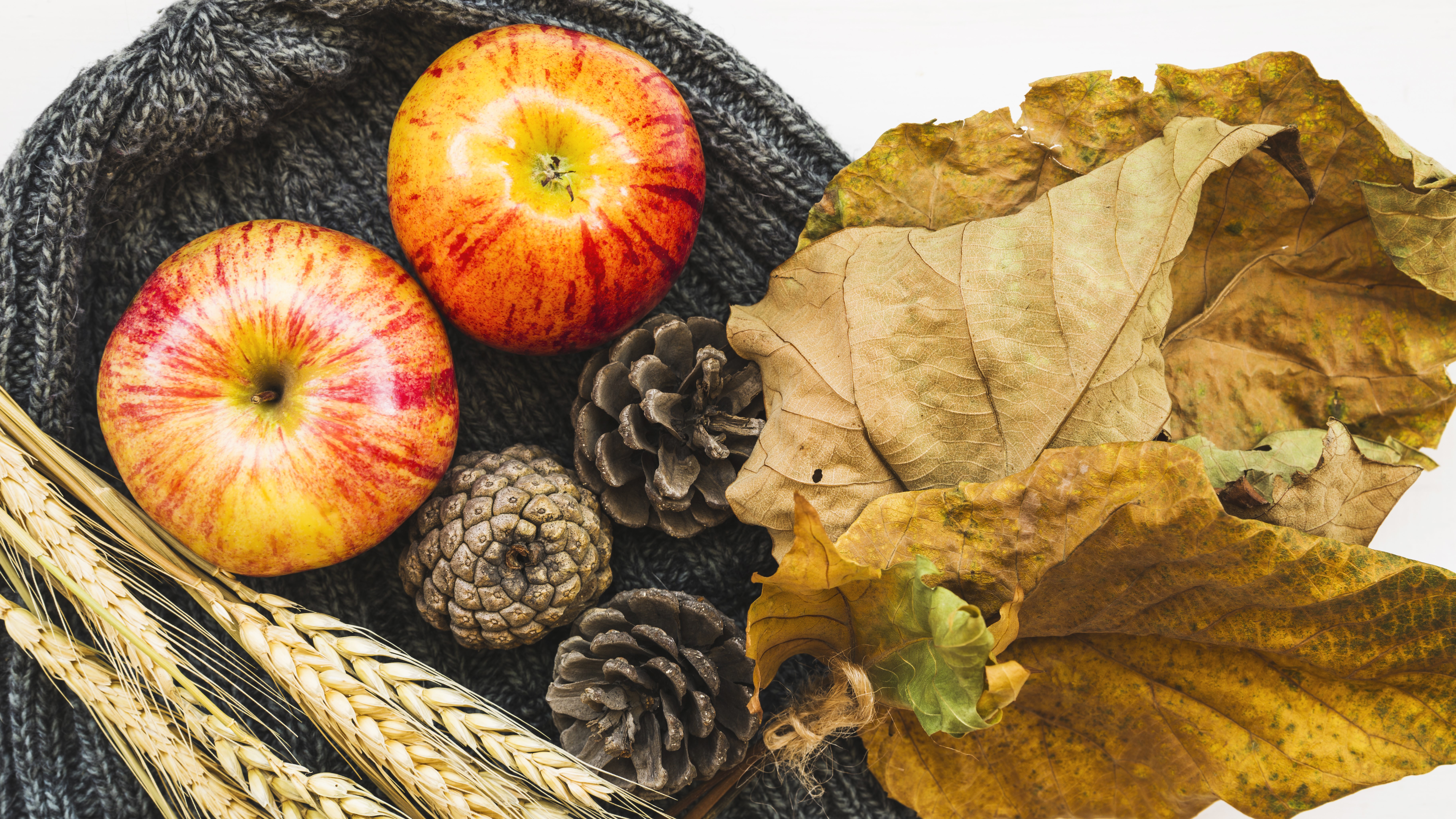 Apples, Pine Cones, Wheat, and Autumn Leaves on Knit Fabric HD Wallpaper
