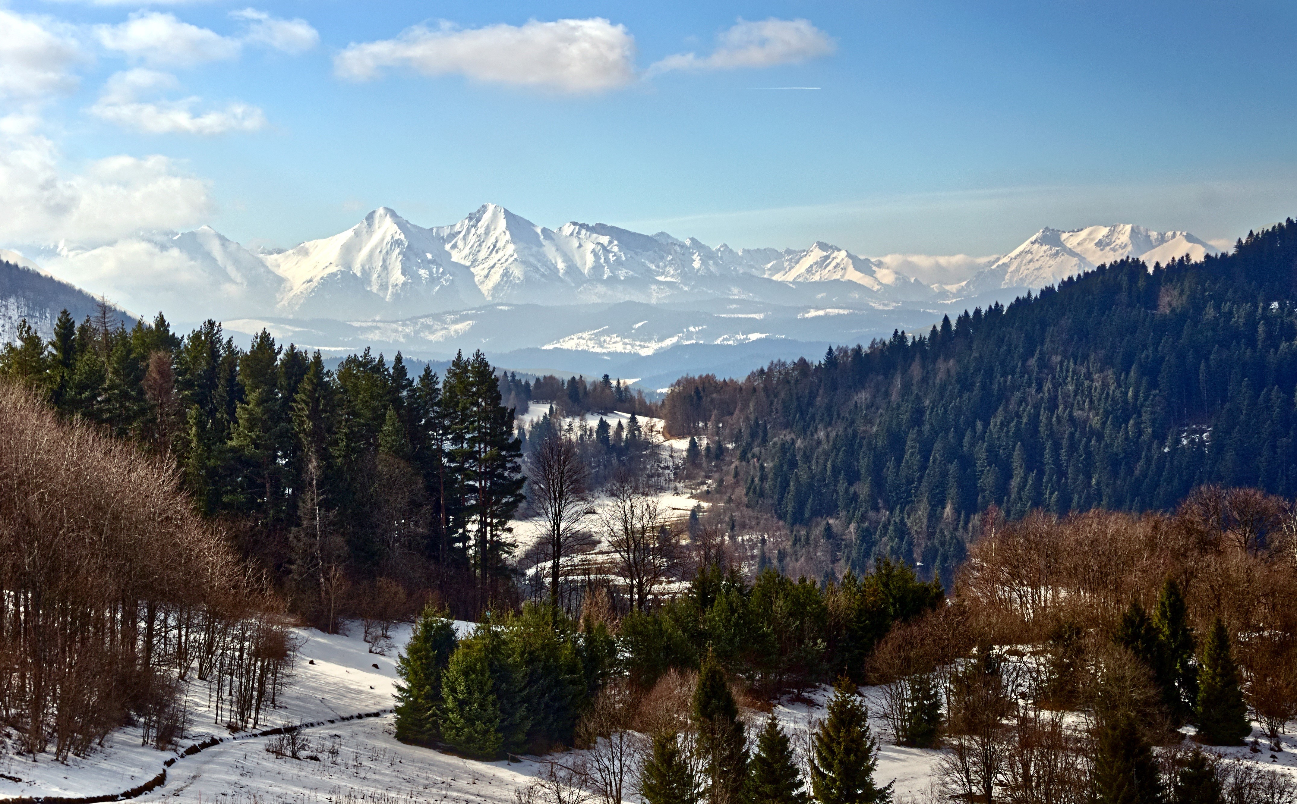 Snowy Mountains and Forests in Winter Scenery HD Wallpaper