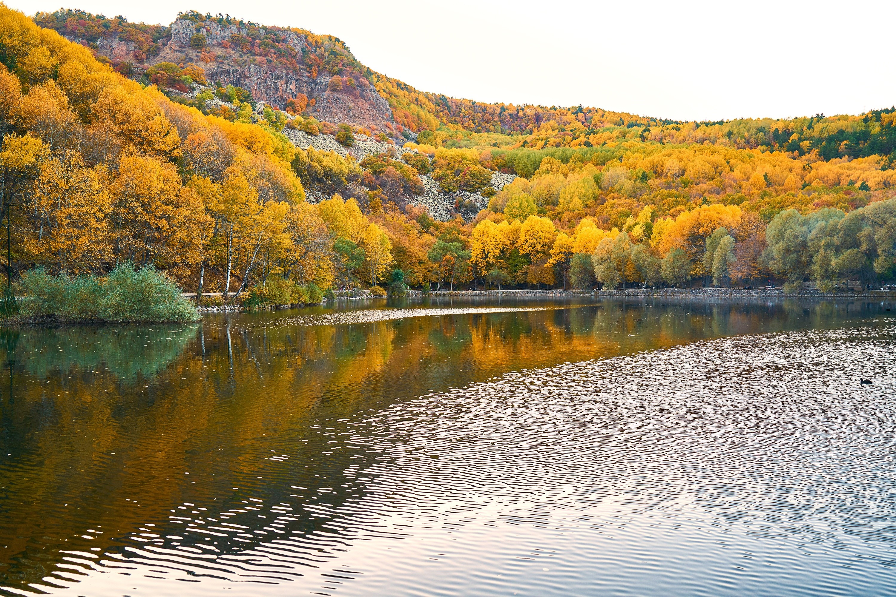 Lake and autumn forest on a rocky mountain HD Wallpaper