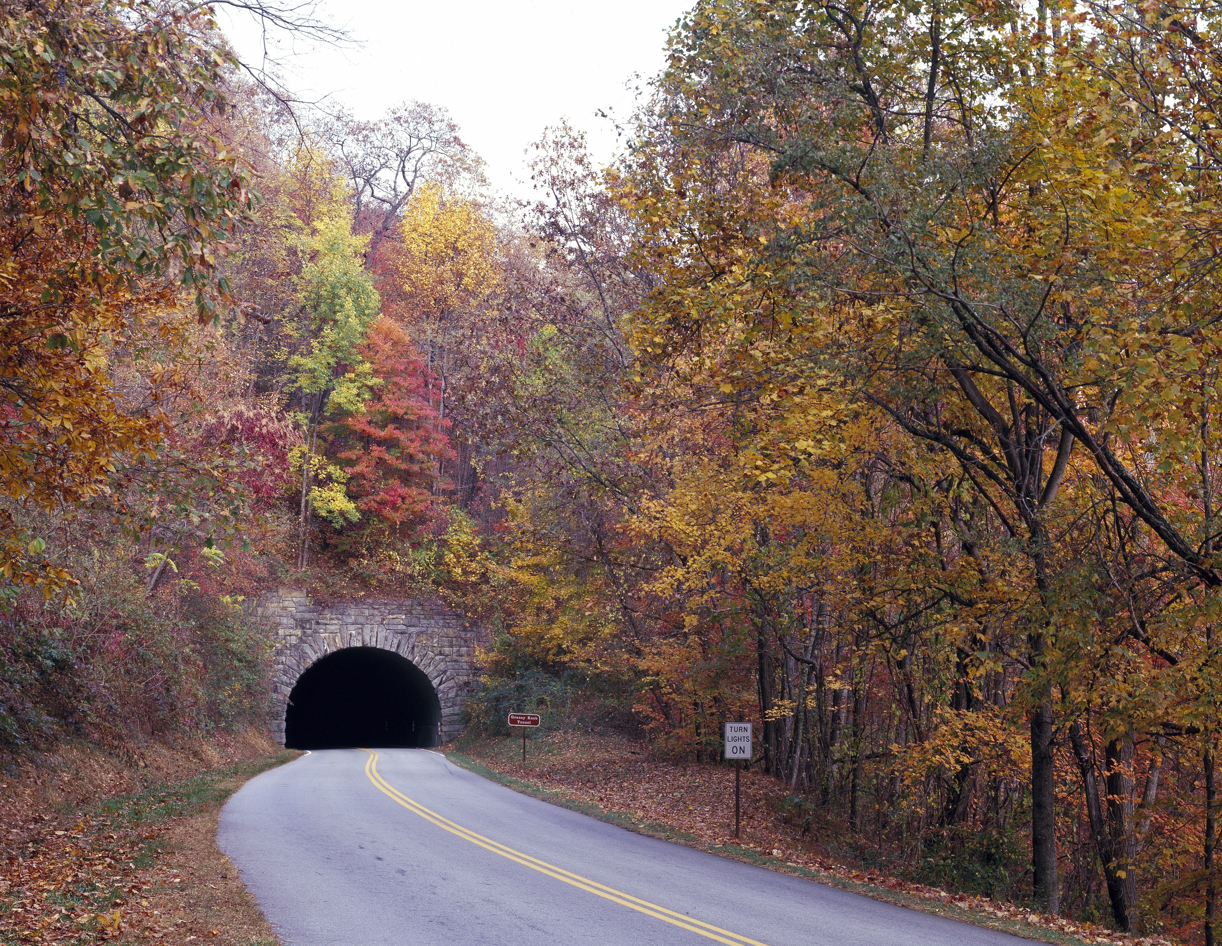 Road leading to a stone tunnel surrounded by autumn trees HD Wallpaper