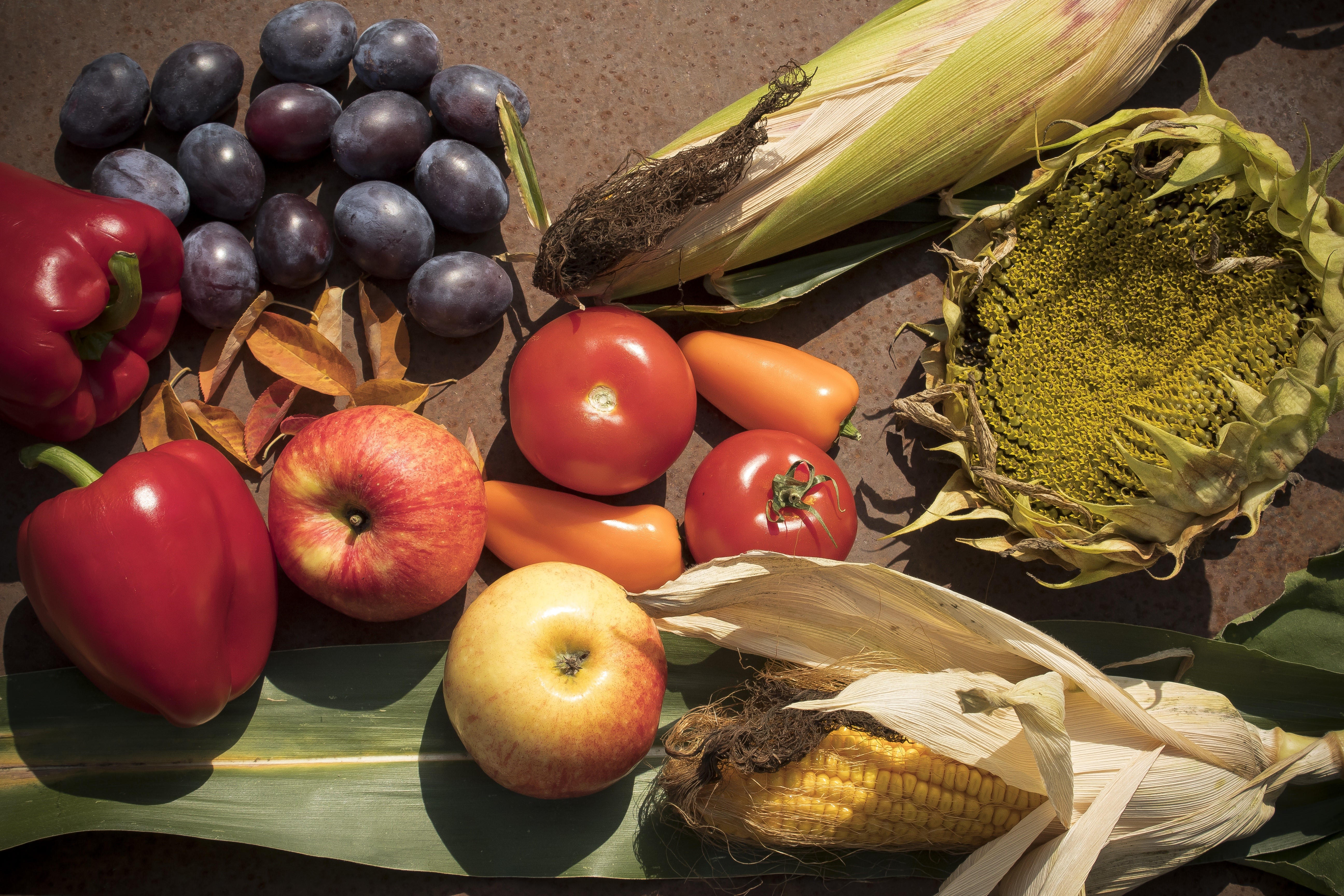 Assortment of fruits and vegetables including bell peppers, apples, tomatoes, corn, plums, and sunflowers HD Wallpaper
