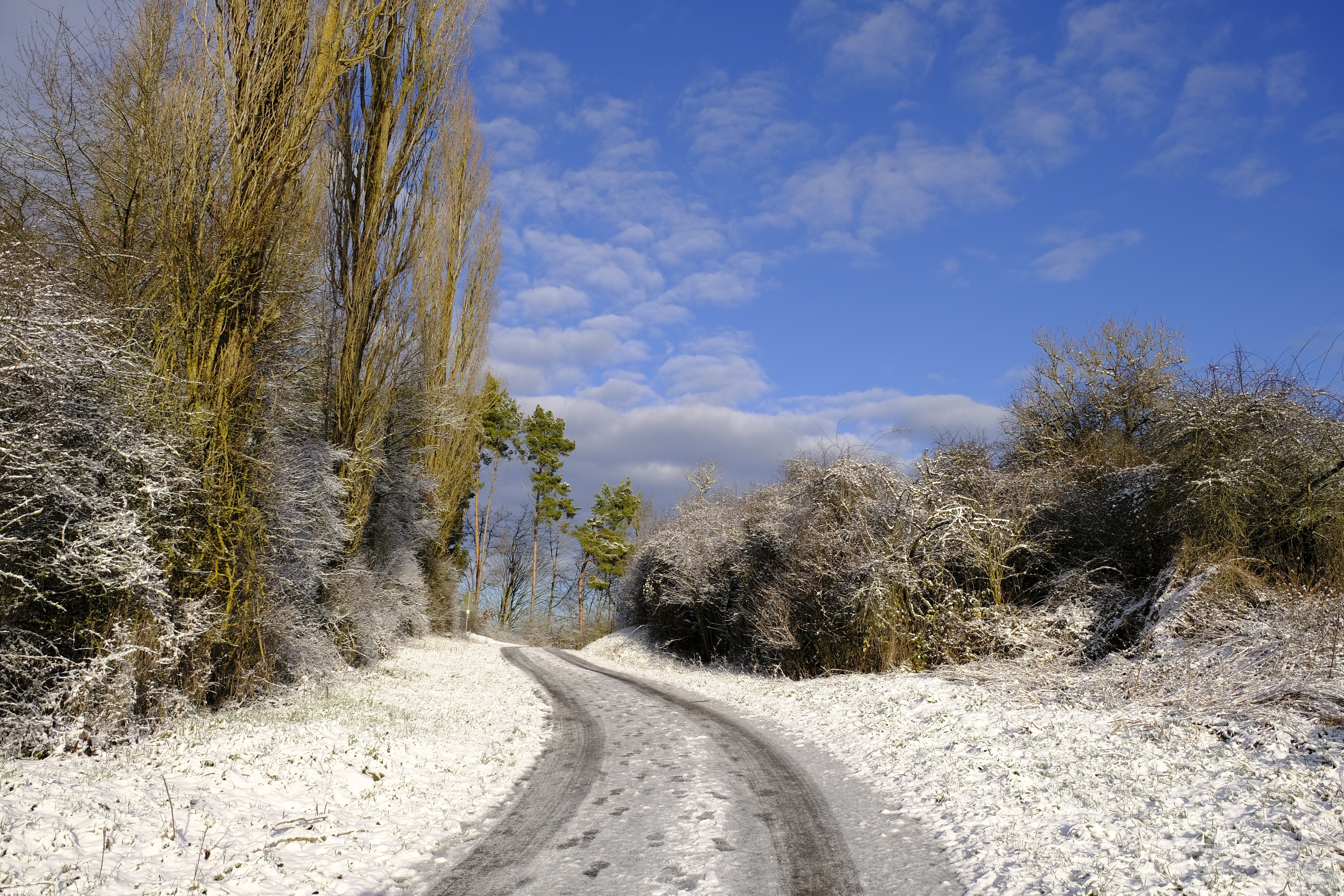 Winter road covered in snow with trees and blue sky HD Wallpaper