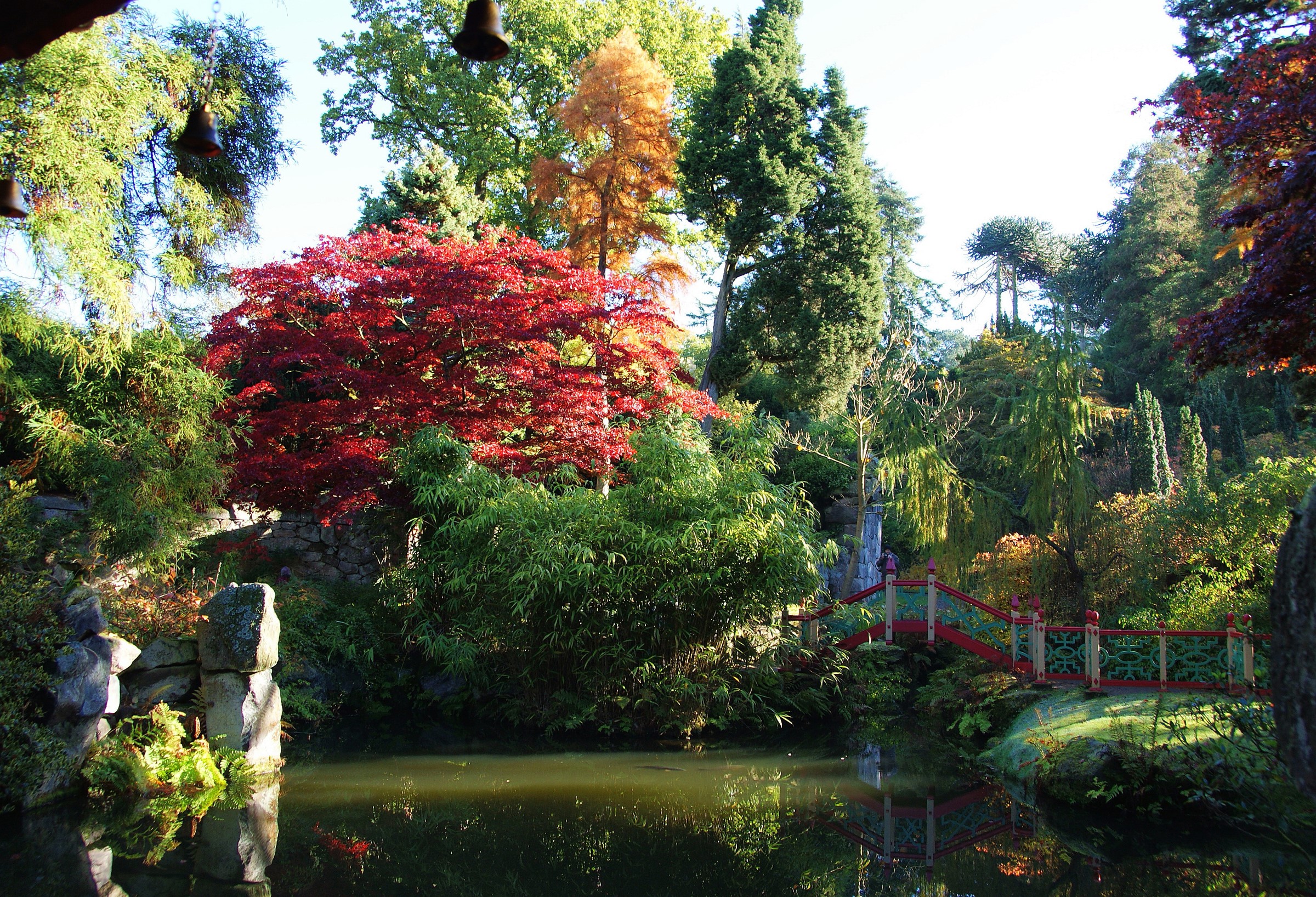 Biddulph Grange Garden, United Kingdom, Autumn Pond and Bridge HD Wallpaper