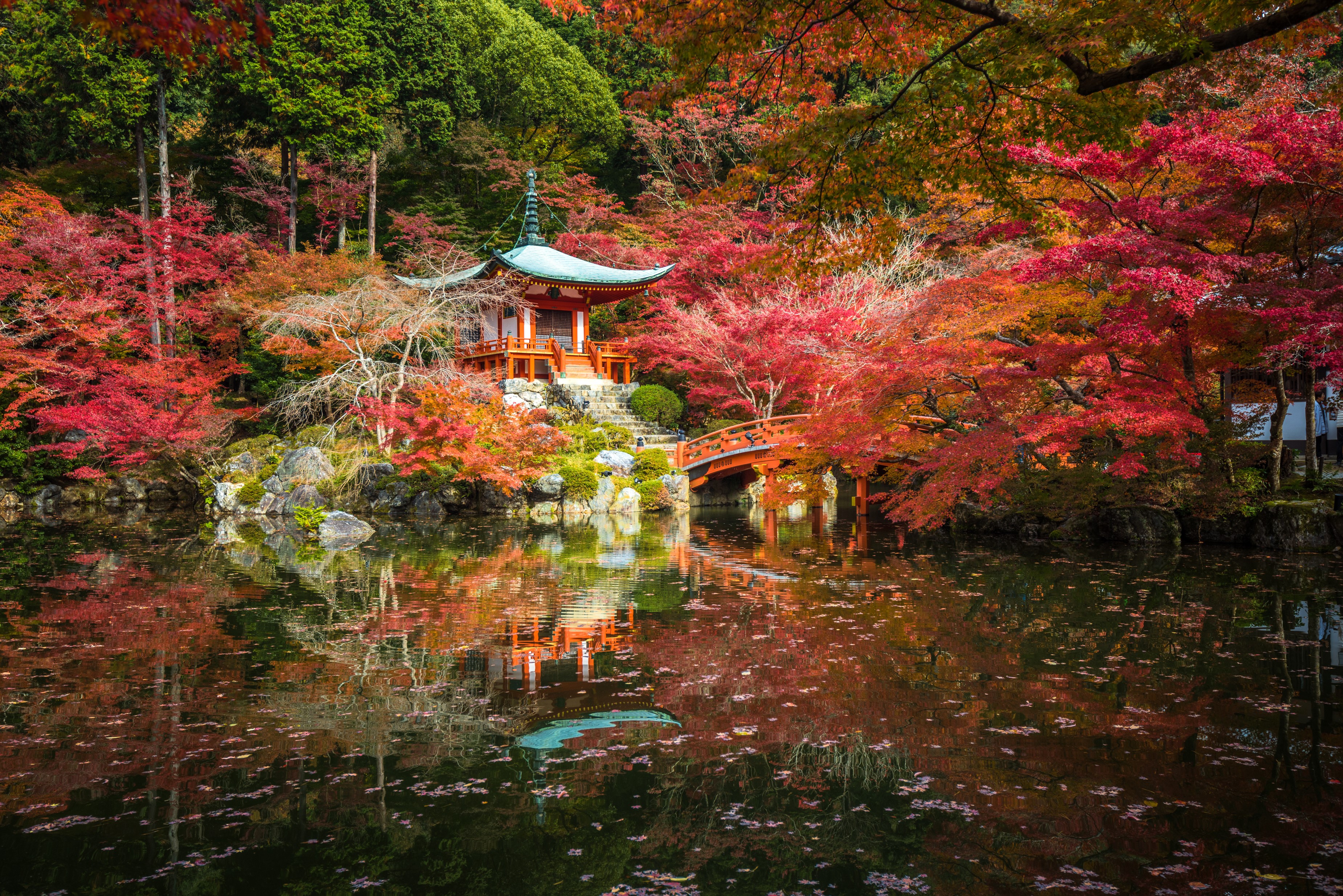 Japanese Pagoda and Bridge in Autumn HD Wallpaper
