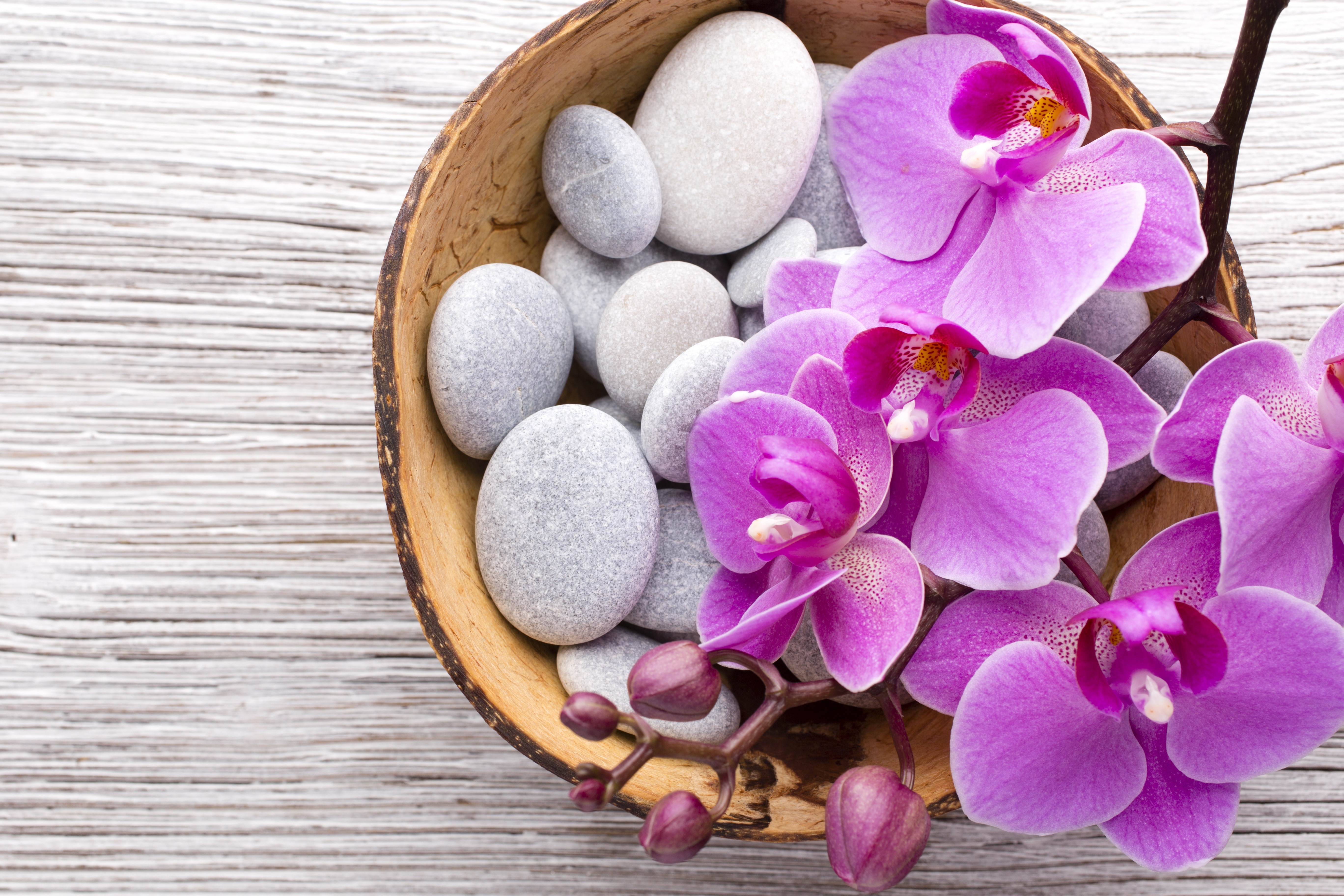 Pink Orchids and Stones in a Bowl HD Wallpaper