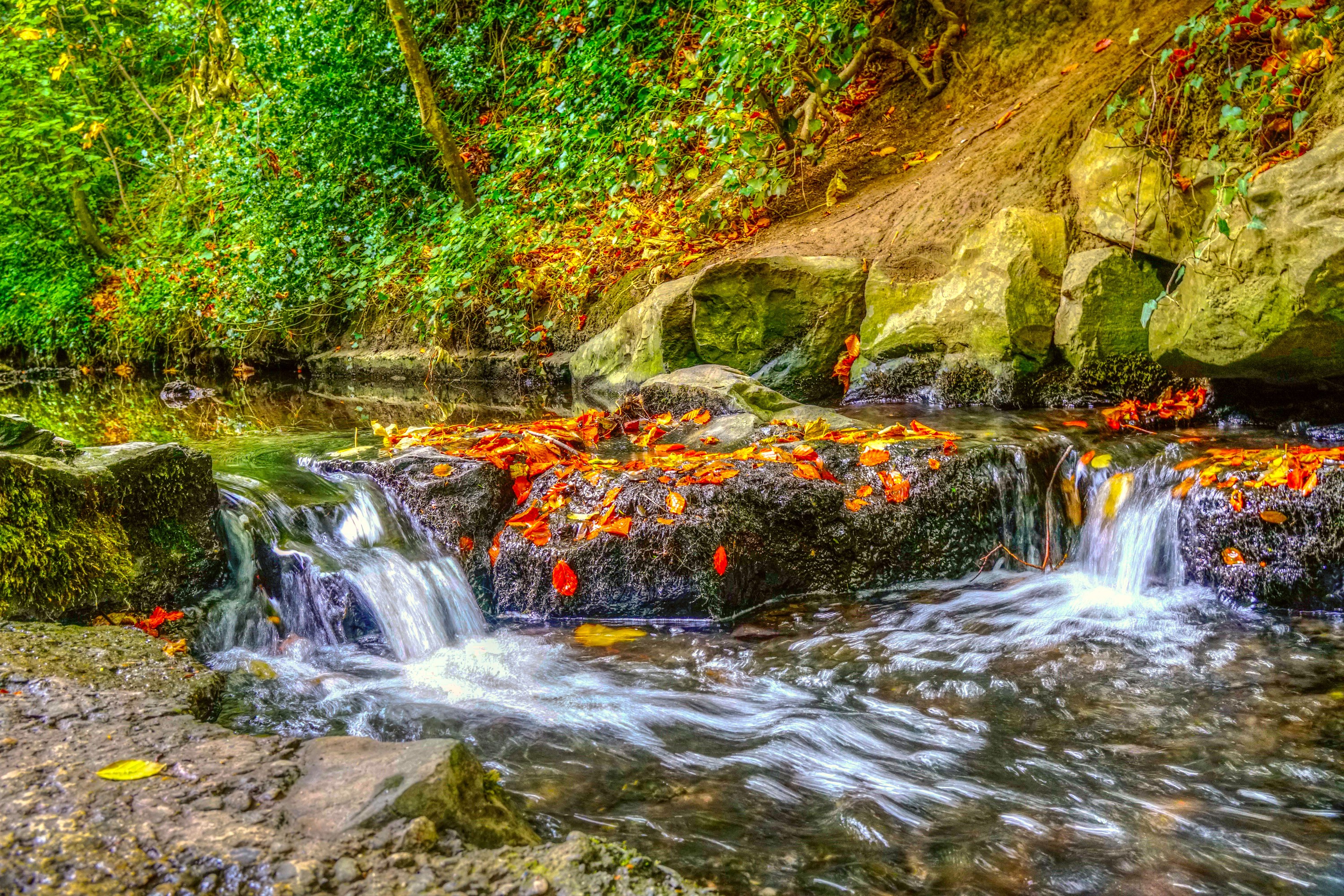 Autumn stream with fallen leaves and rocks HD Wallpaper