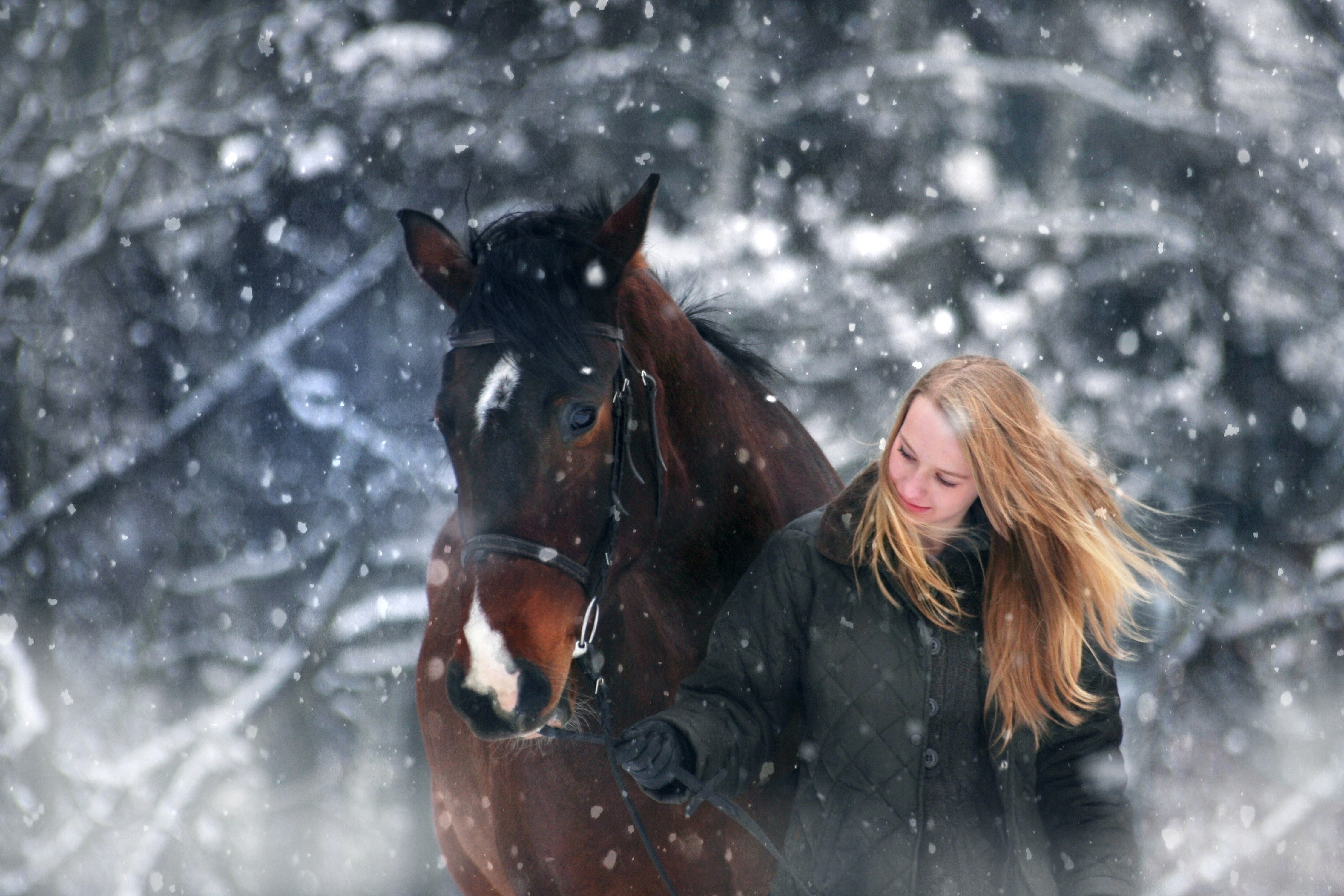 Girl with Horse in Snow HD Wallpaper