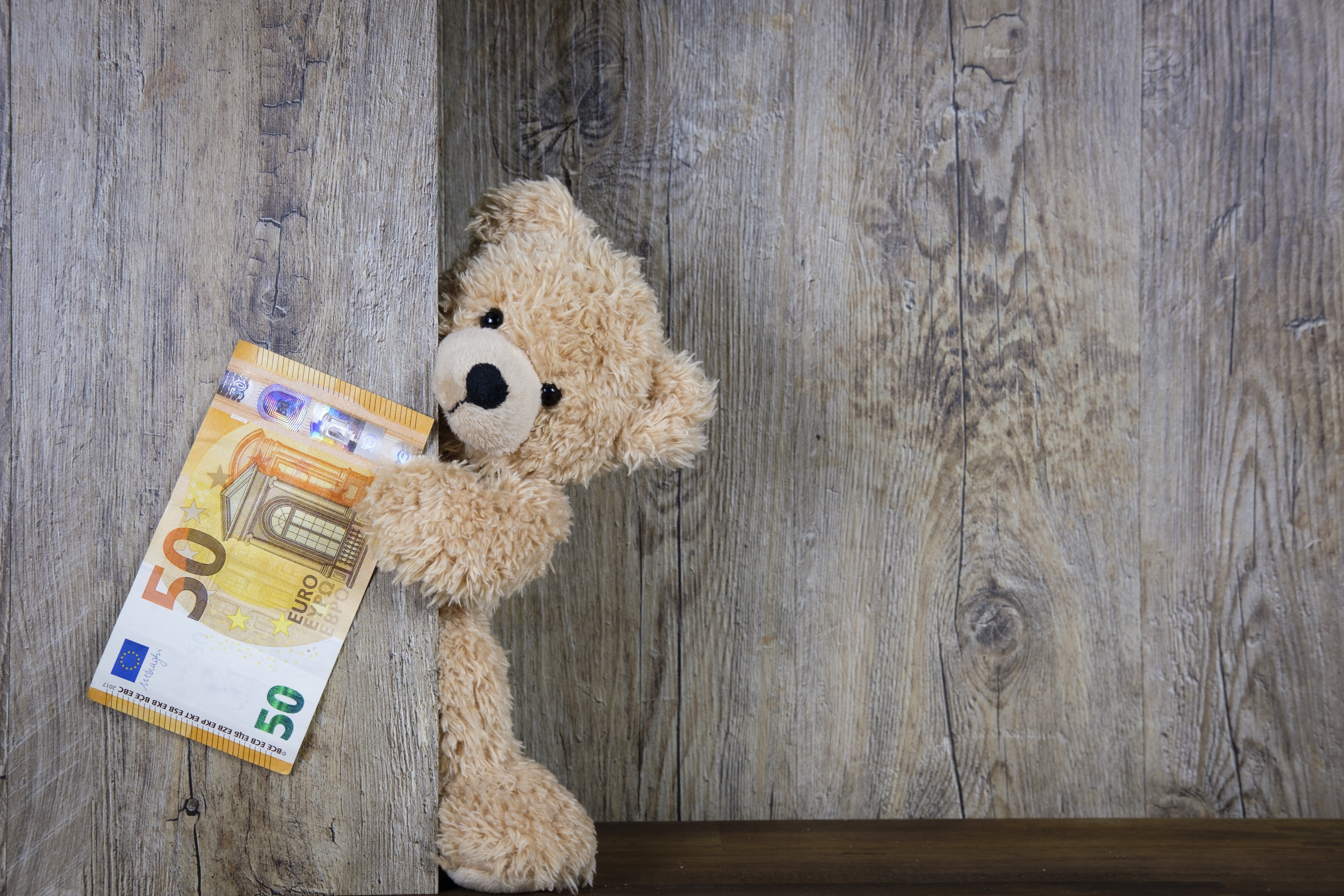 Teddy bear holding a 50 Euro banknote HD Wallpaper
