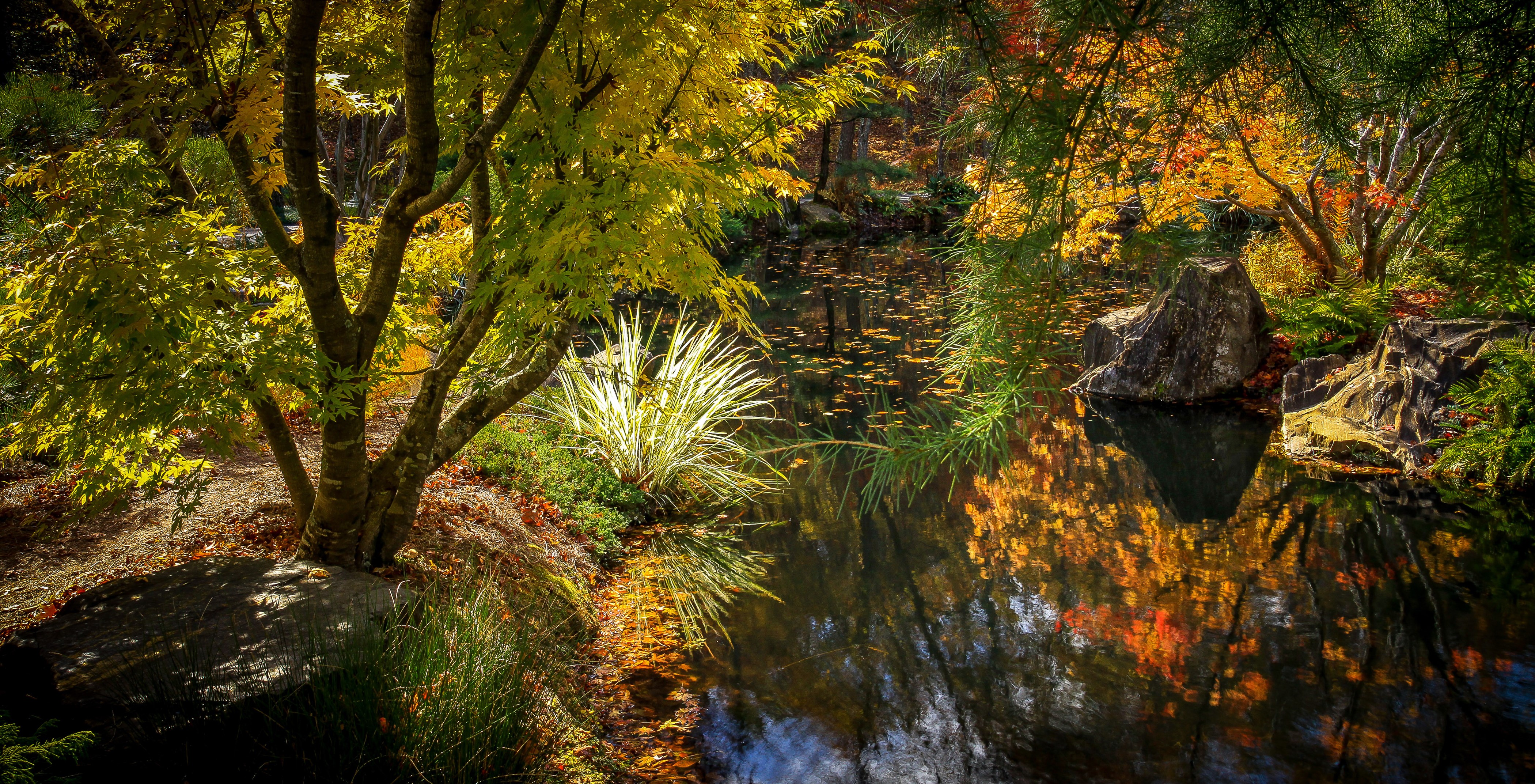 Gibbs Gardens Pond in Autumn HD Wallpaper