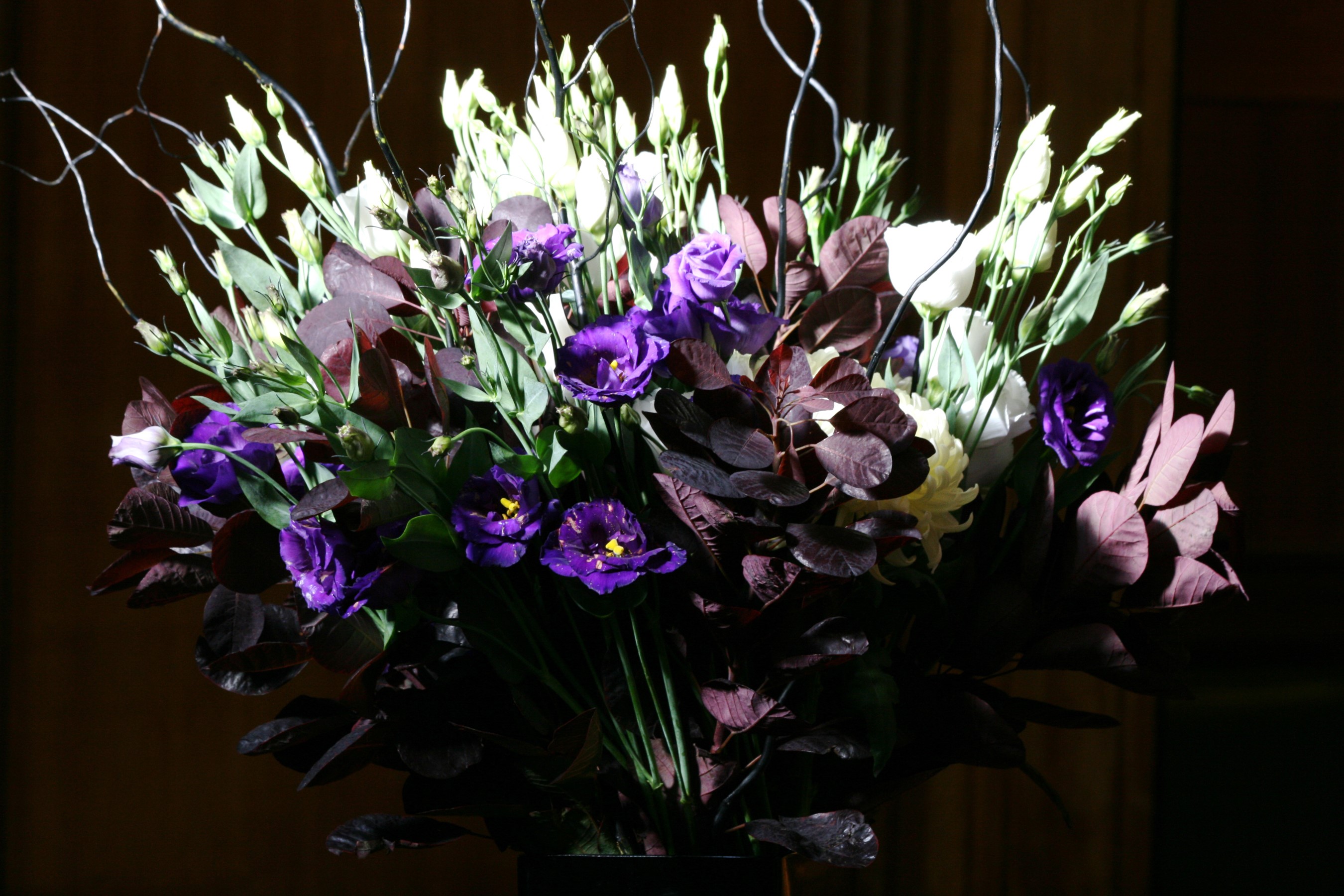 Purple and white flowers with dark leaves HD Wallpaper