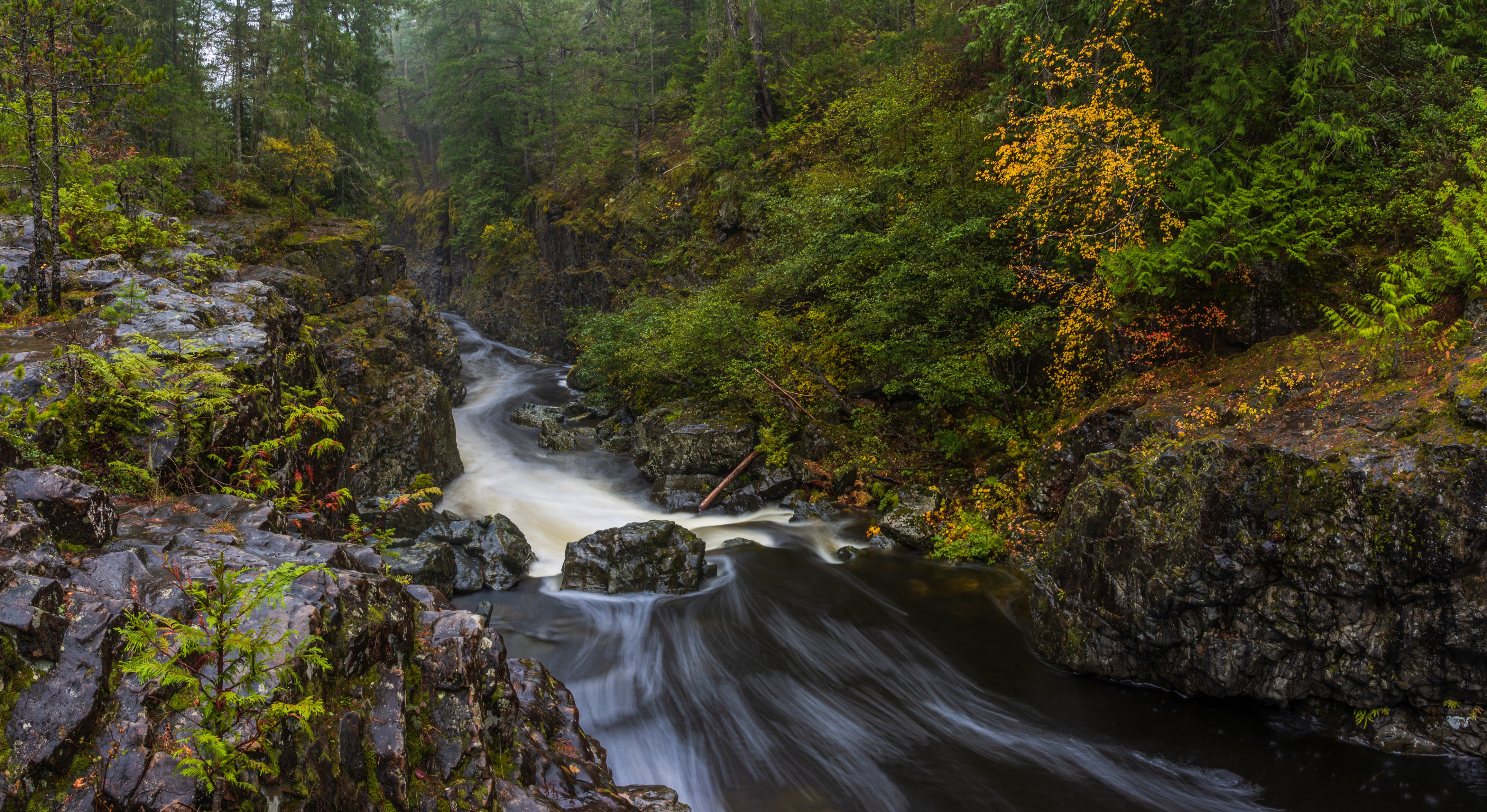 River flowing through a rocky forest gorge HD Wallpaper