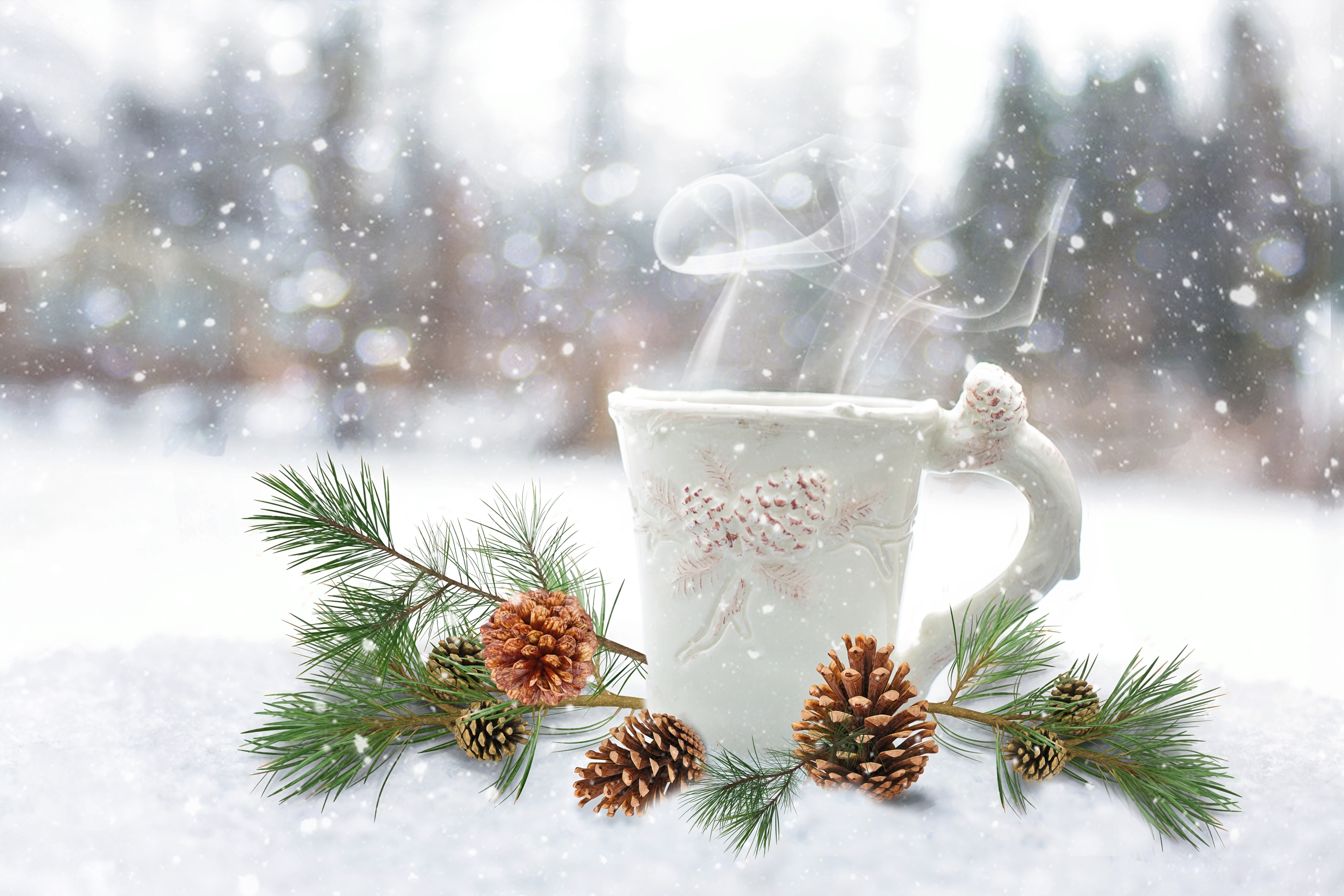 Mug with steam and pine cones in snow HD Wallpaper