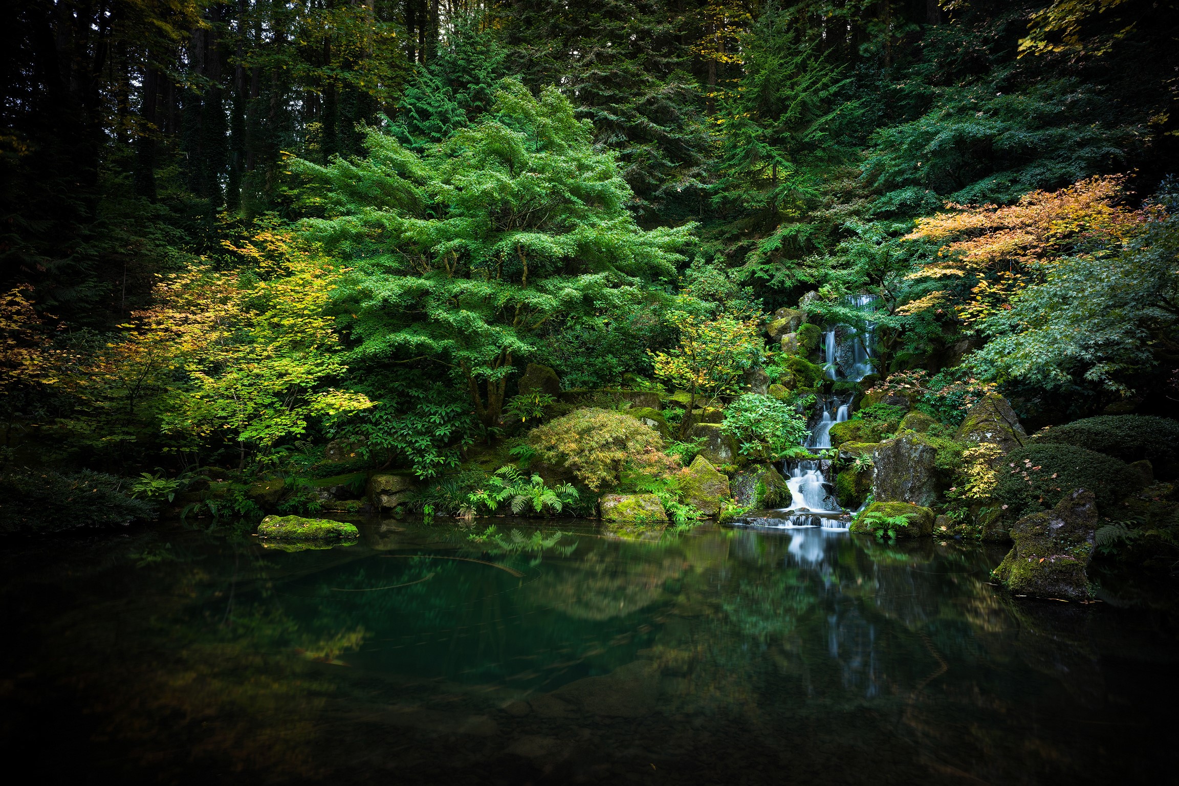 Portland Japanese Garden waterfall and pond with mossy stones HD Wallpaper