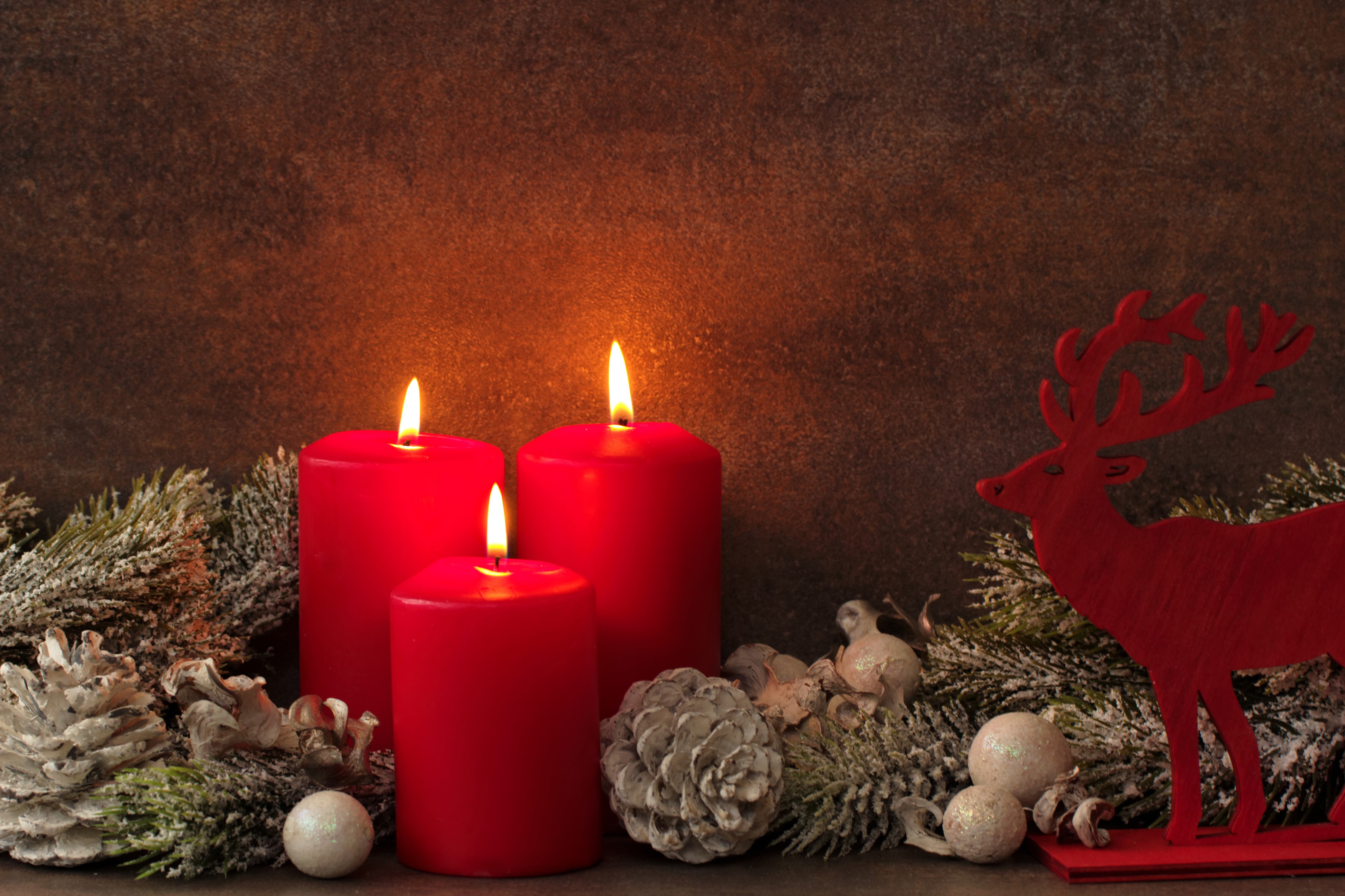 Christmas Candles with Deer and Pine Cones HD Wallpaper