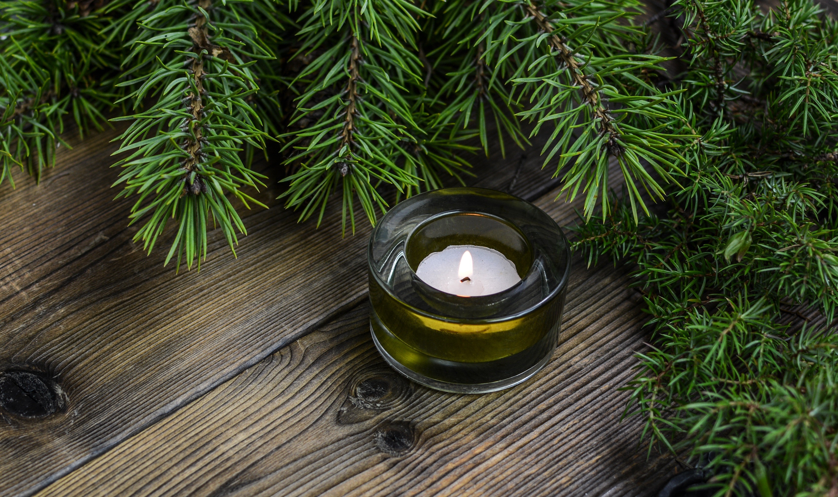 Candle with pine branches on wooden planks HD Wallpaper