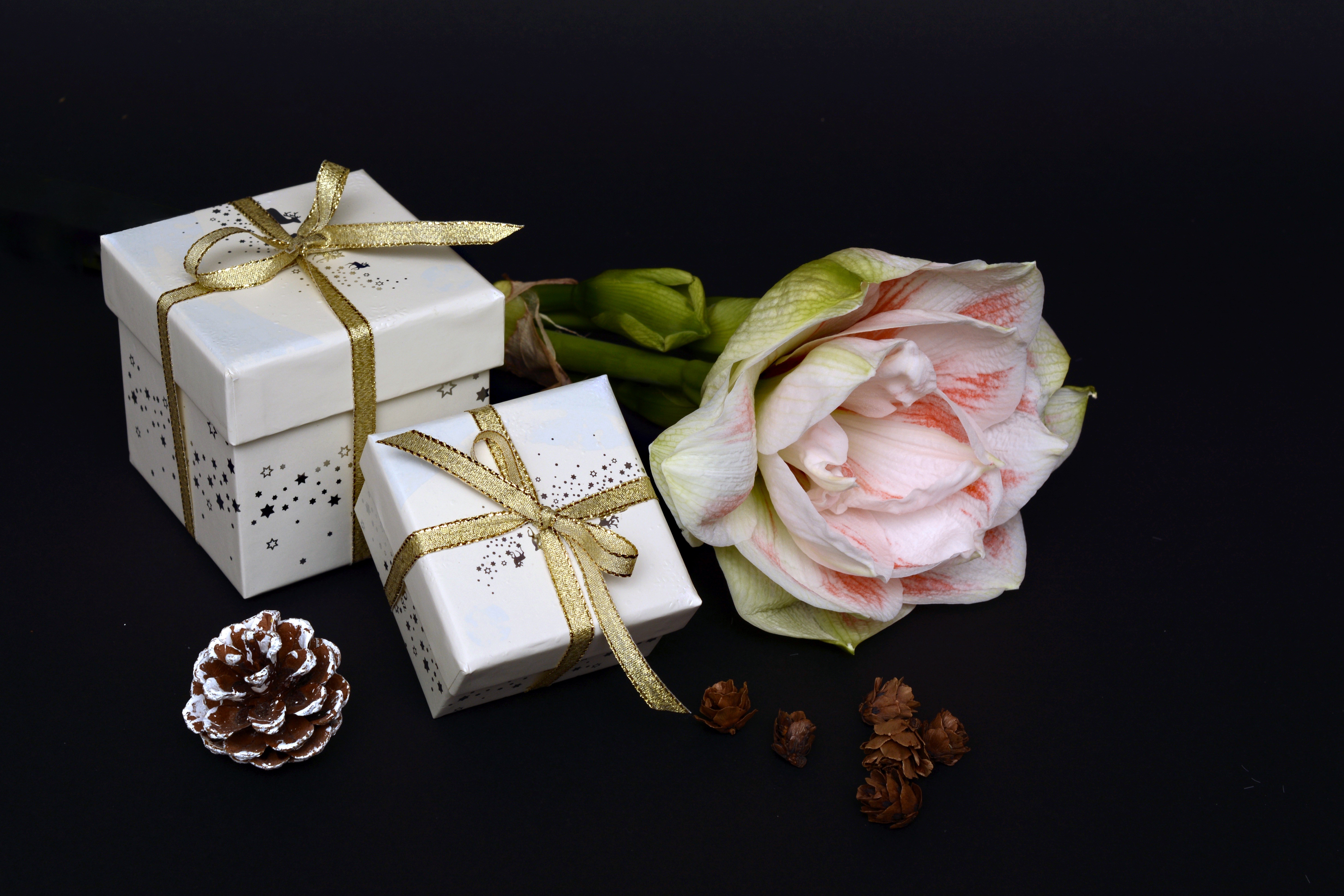 Gifts with flower and pine cones on black background HD Wallpaper