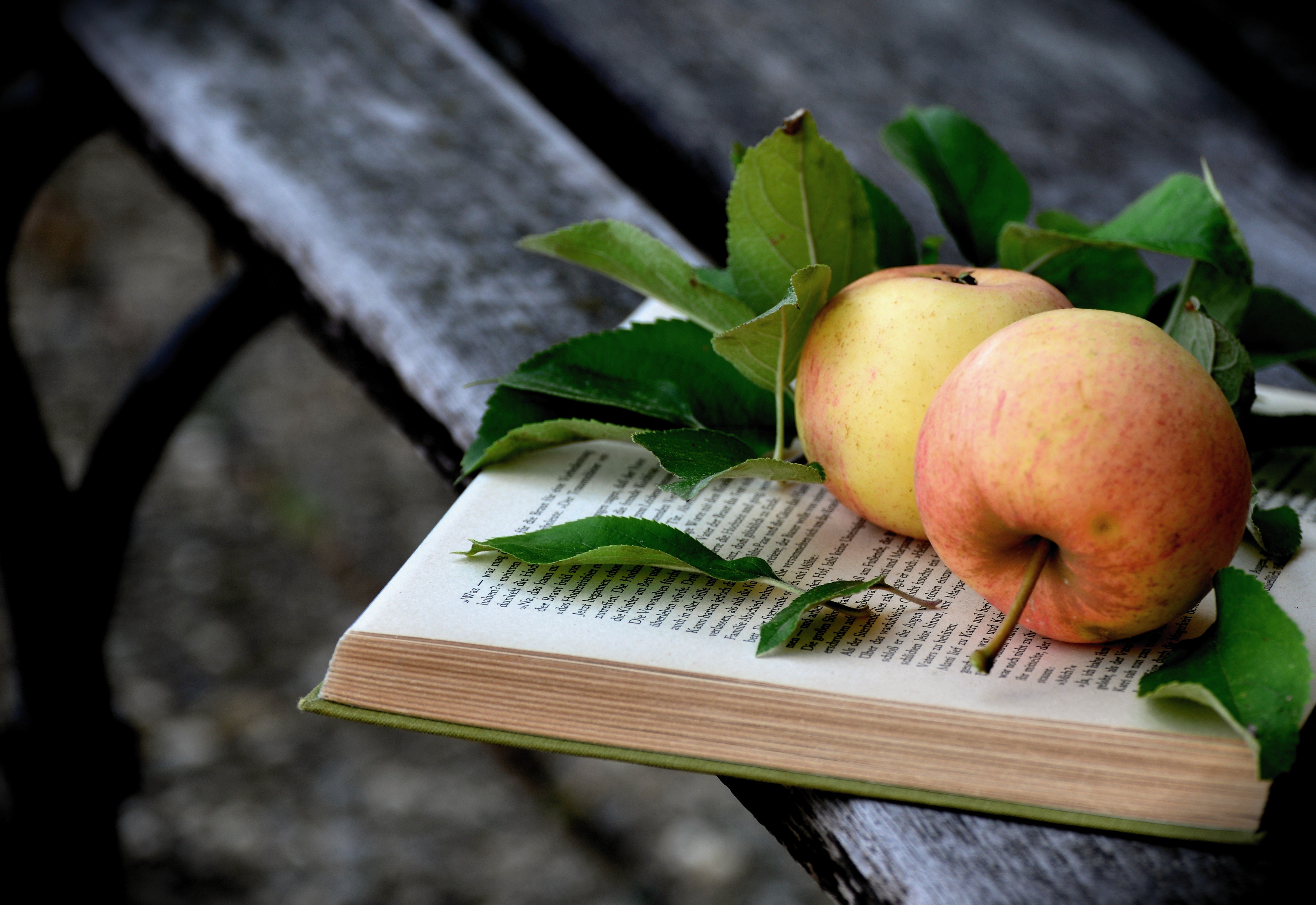 Apples and leaves on an open book HD Wallpaper