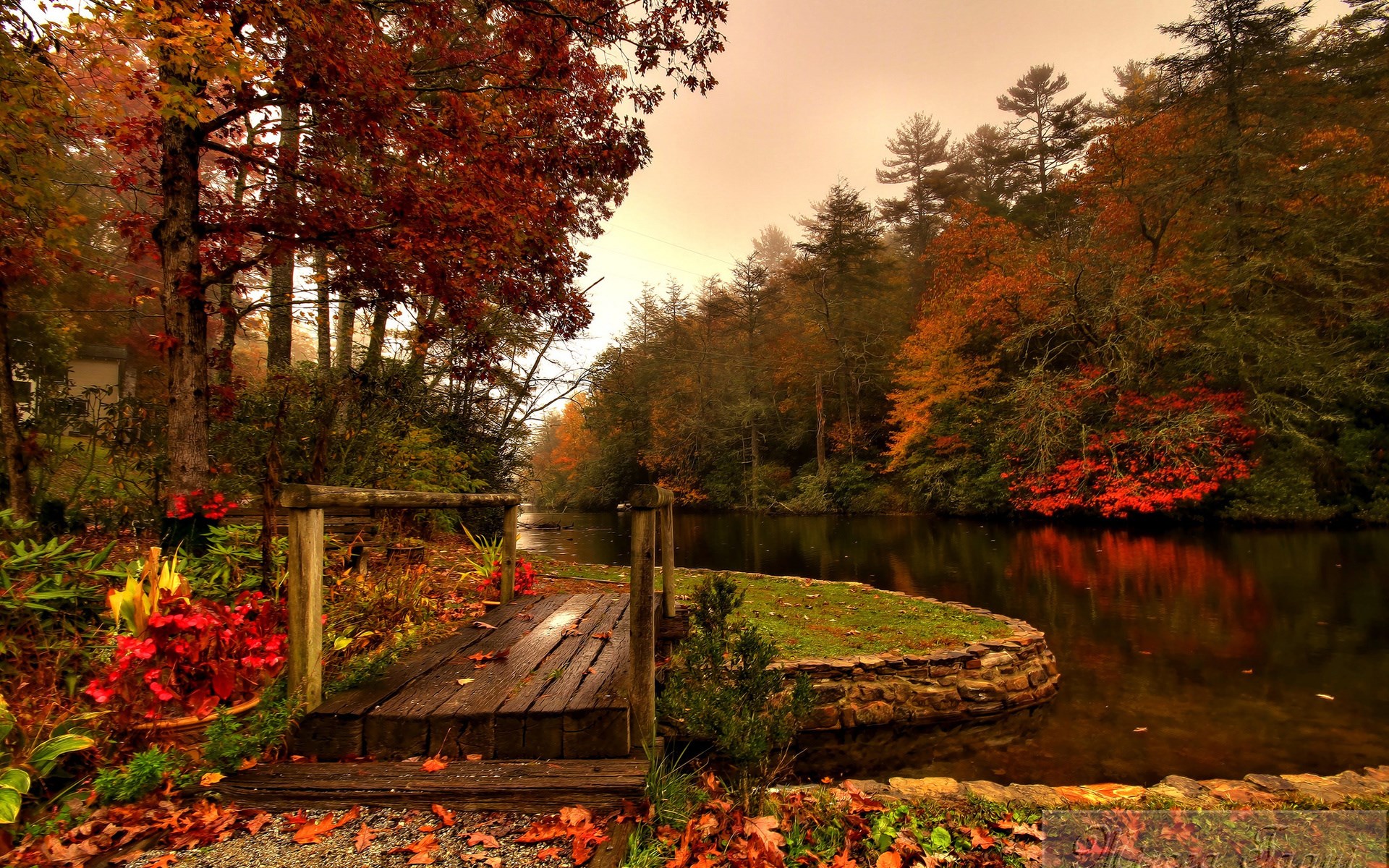 Wooden bridge over a stream in autumn forest HD Wallpaper