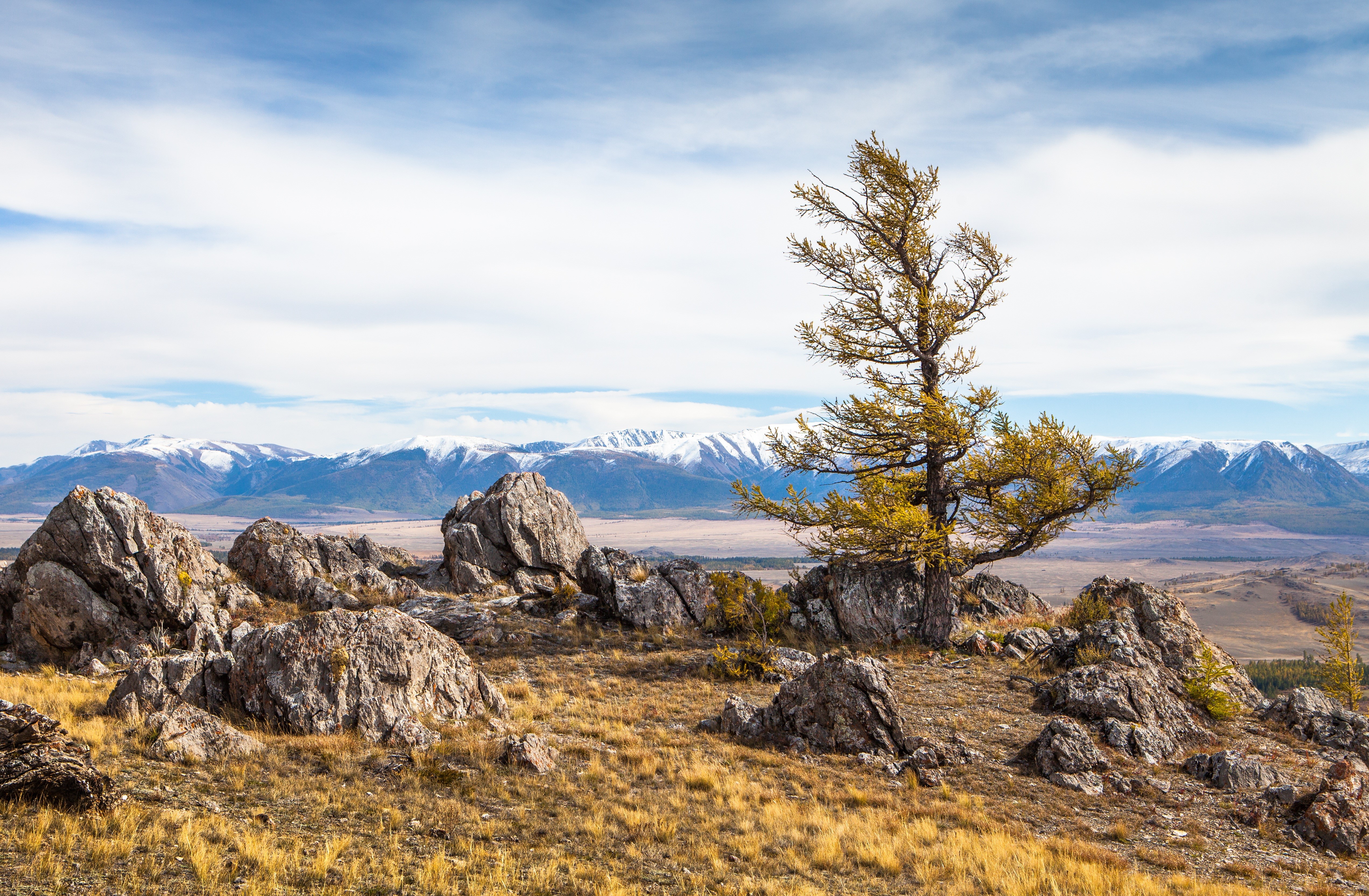 Altai Mountains Russia with Rocks and Tree HD Wallpaper