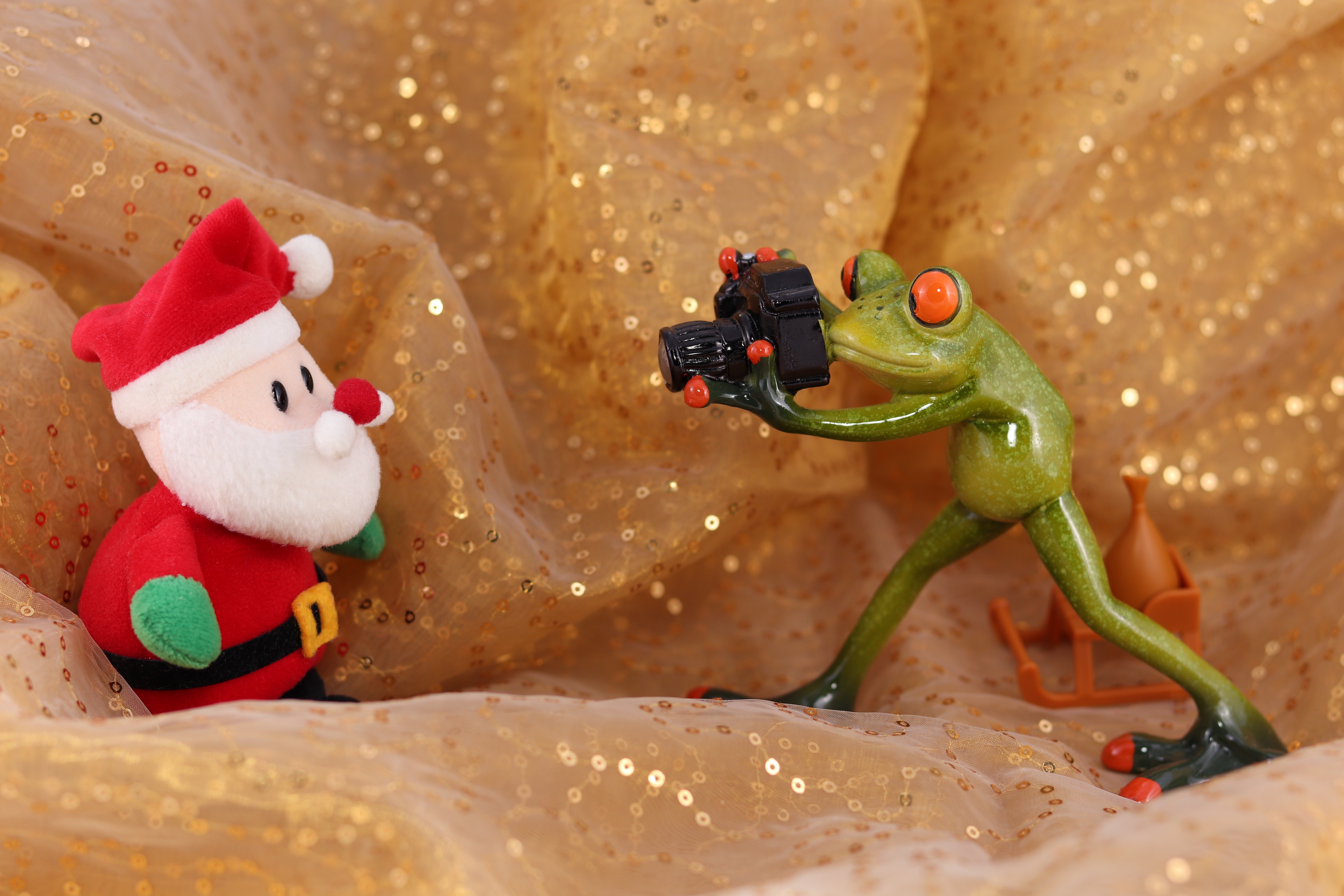 Frog photographer takes picture of Santa Claus HD Wallpaper