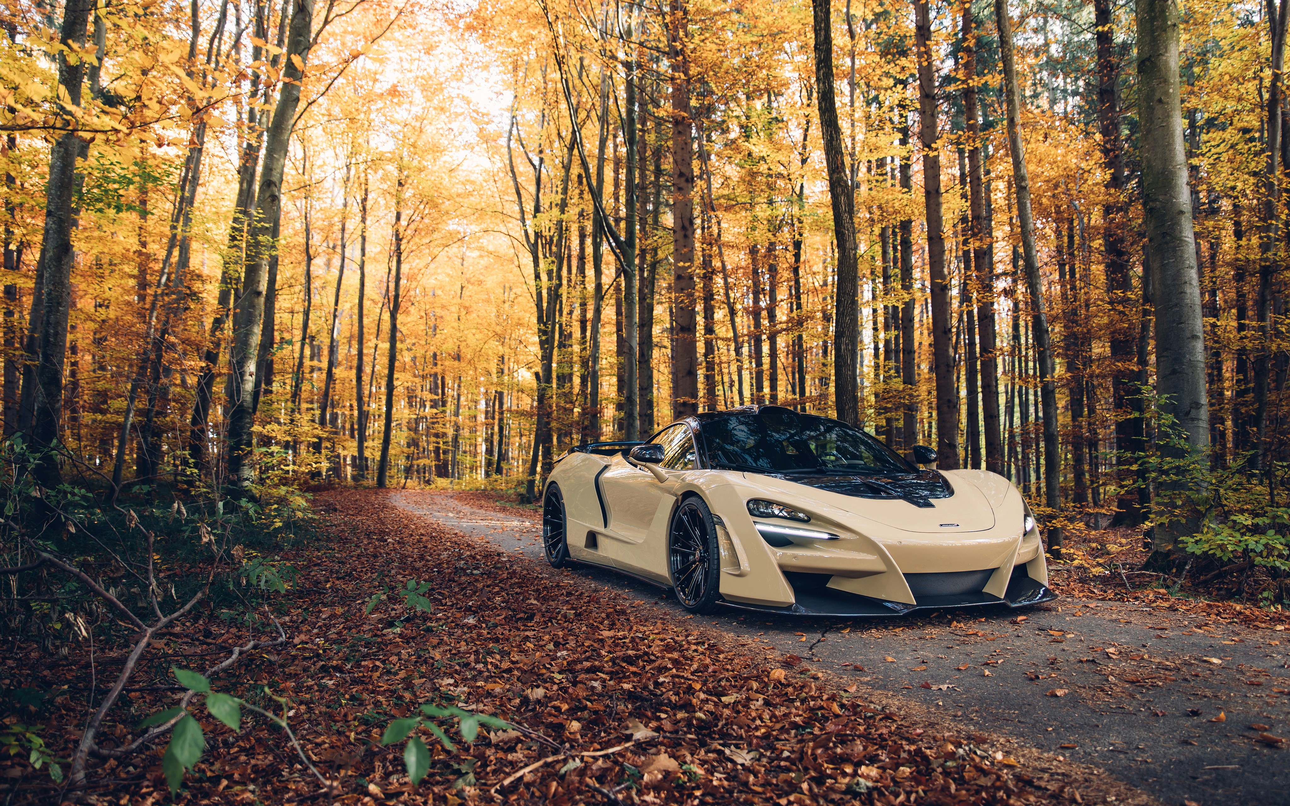 4K 2018 Novitec N-Largo 720S McLaren in Autumn Forest HD Wallpaper