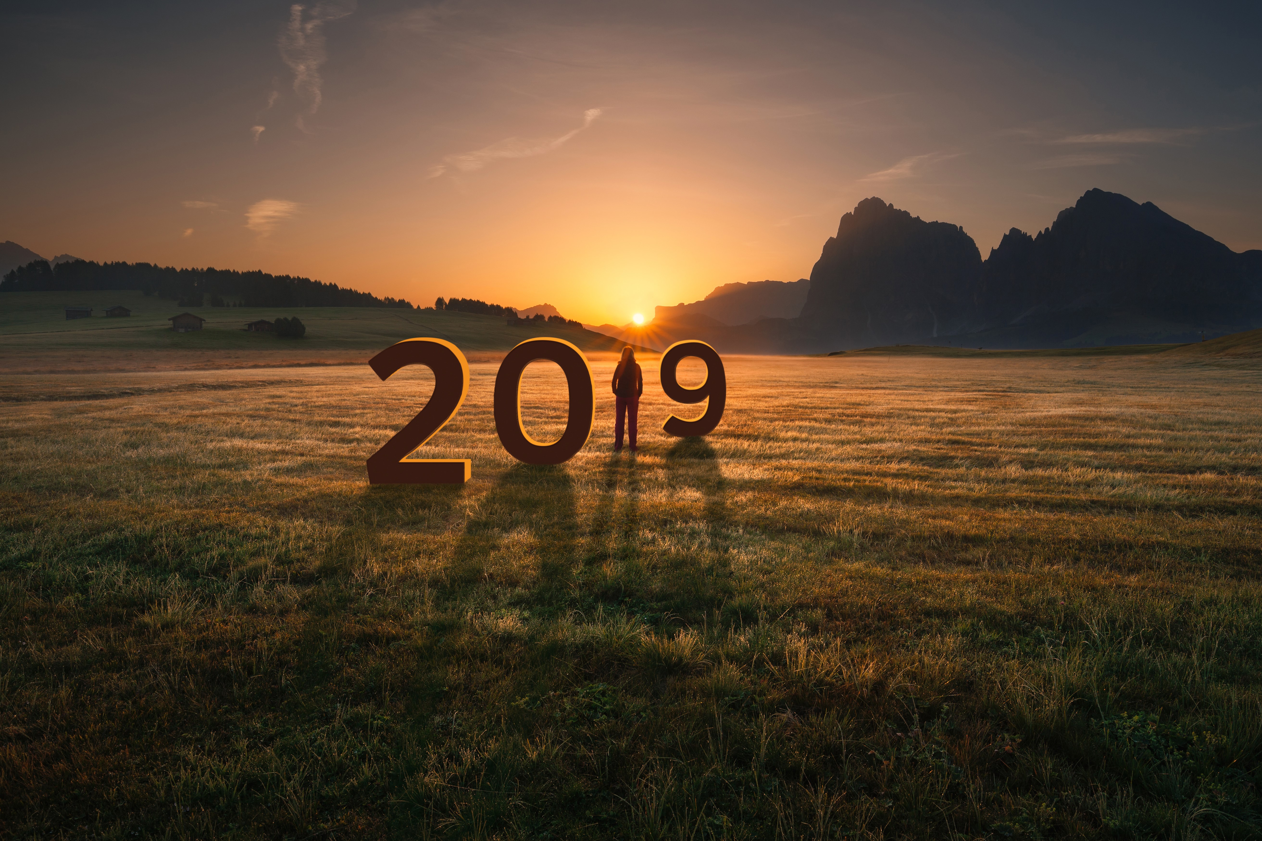 2019 numbers in a field at sunrise HD Wallpaper