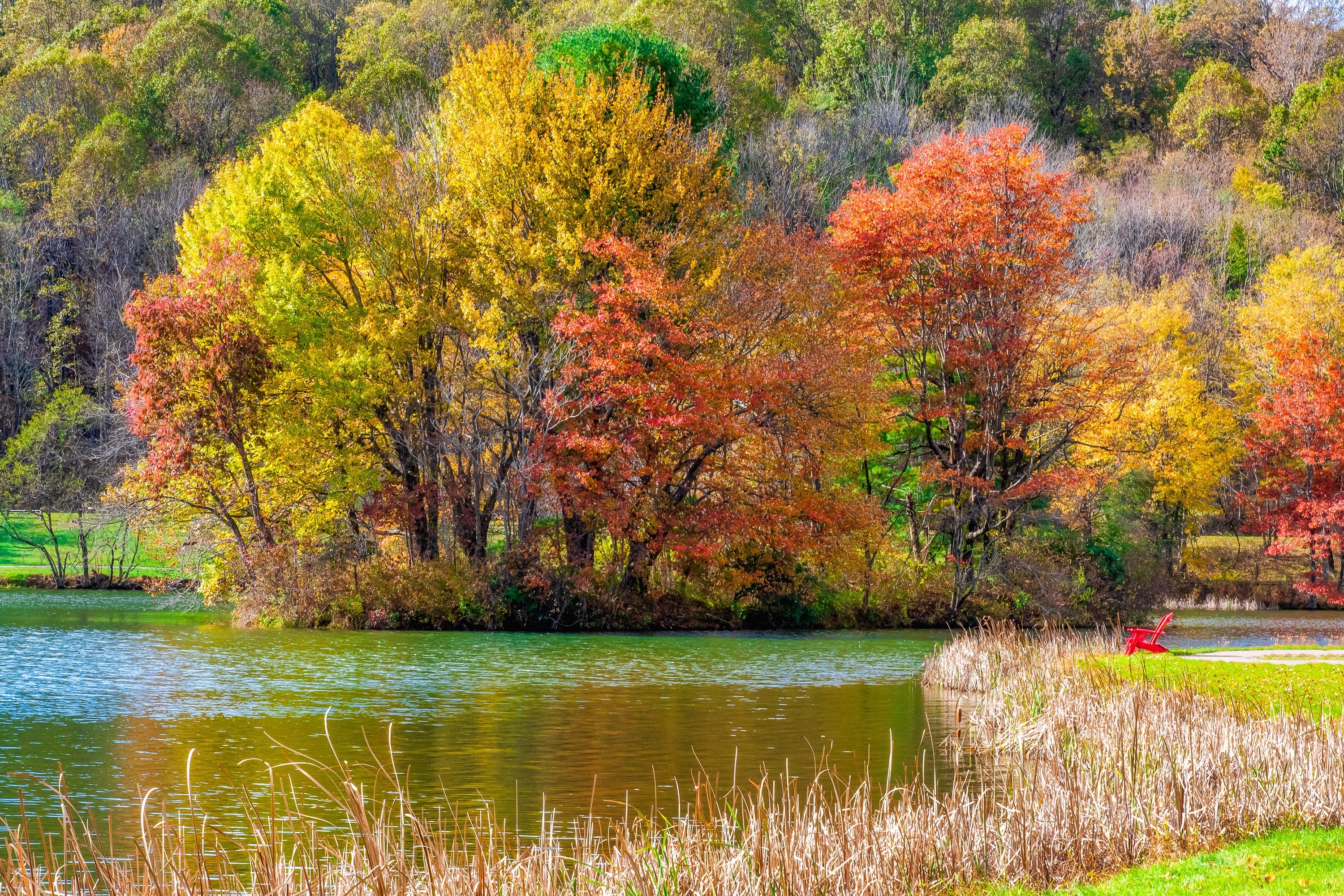 Autumn trees by a lake on the Blue Ridge Parkway HD Wallpaper
