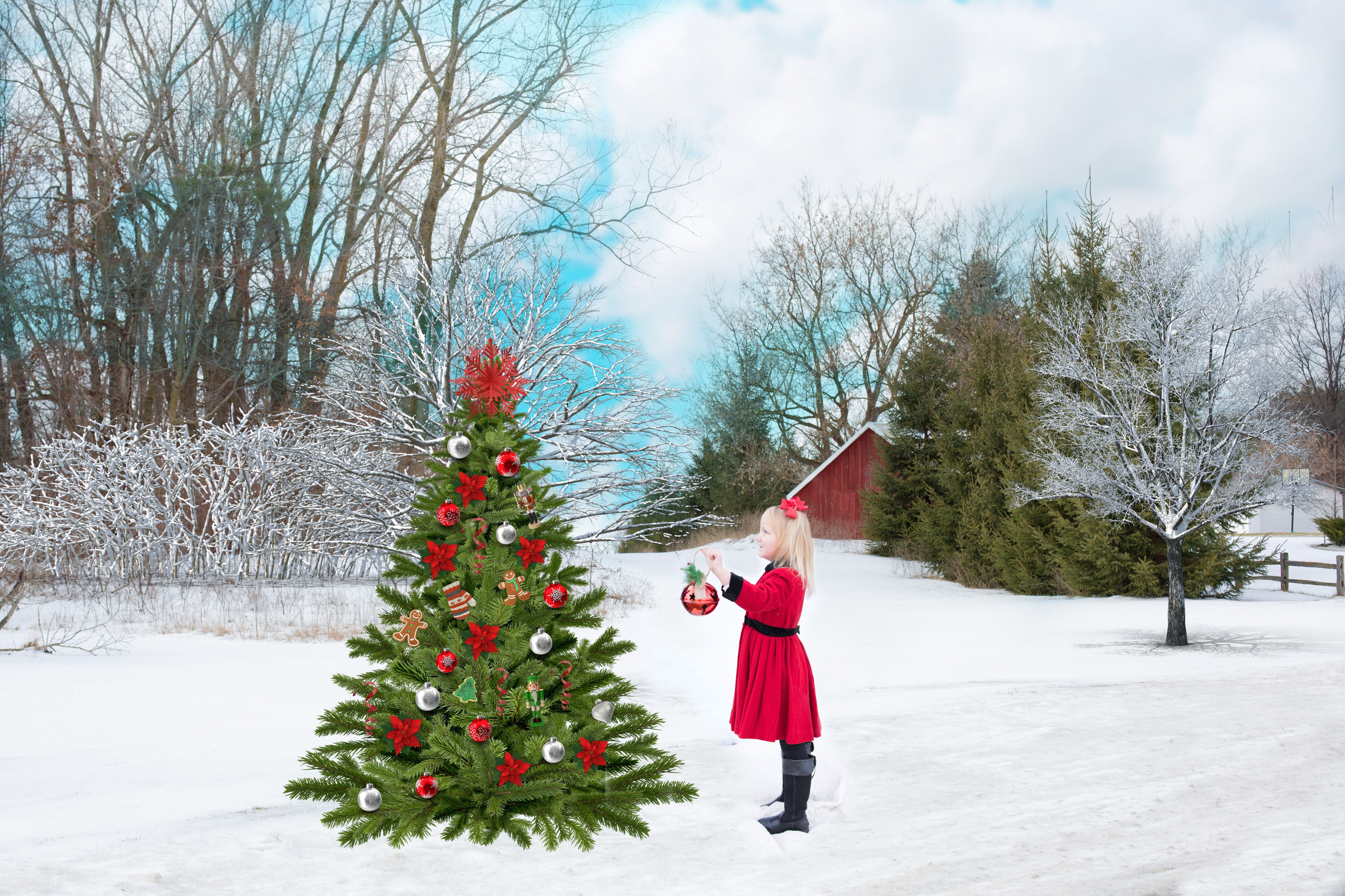Girl Decorating Christmas Tree in Winter HD Wallpaper