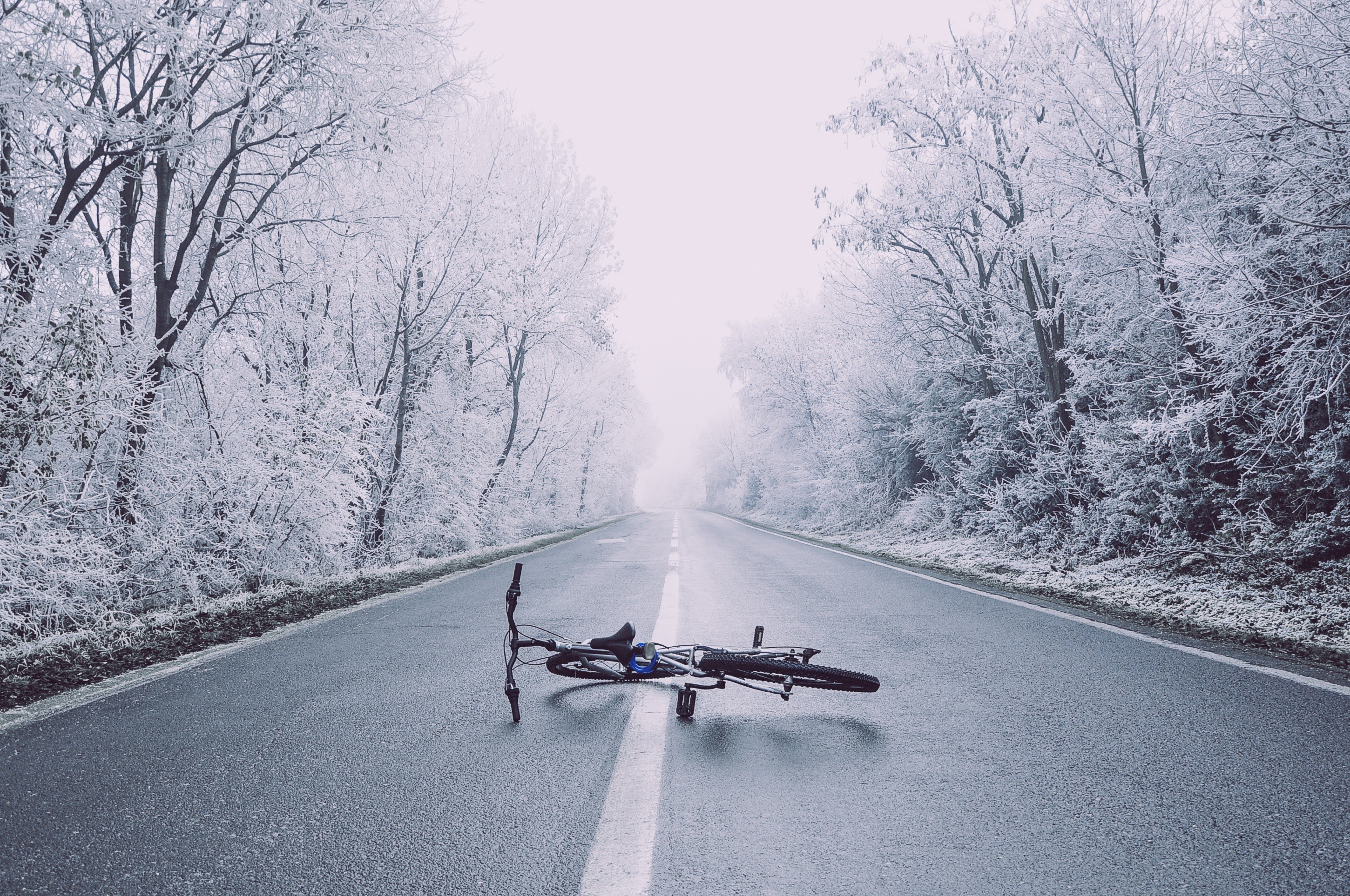 Bicycle lying on a wet road in winter forest HD Wallpaper