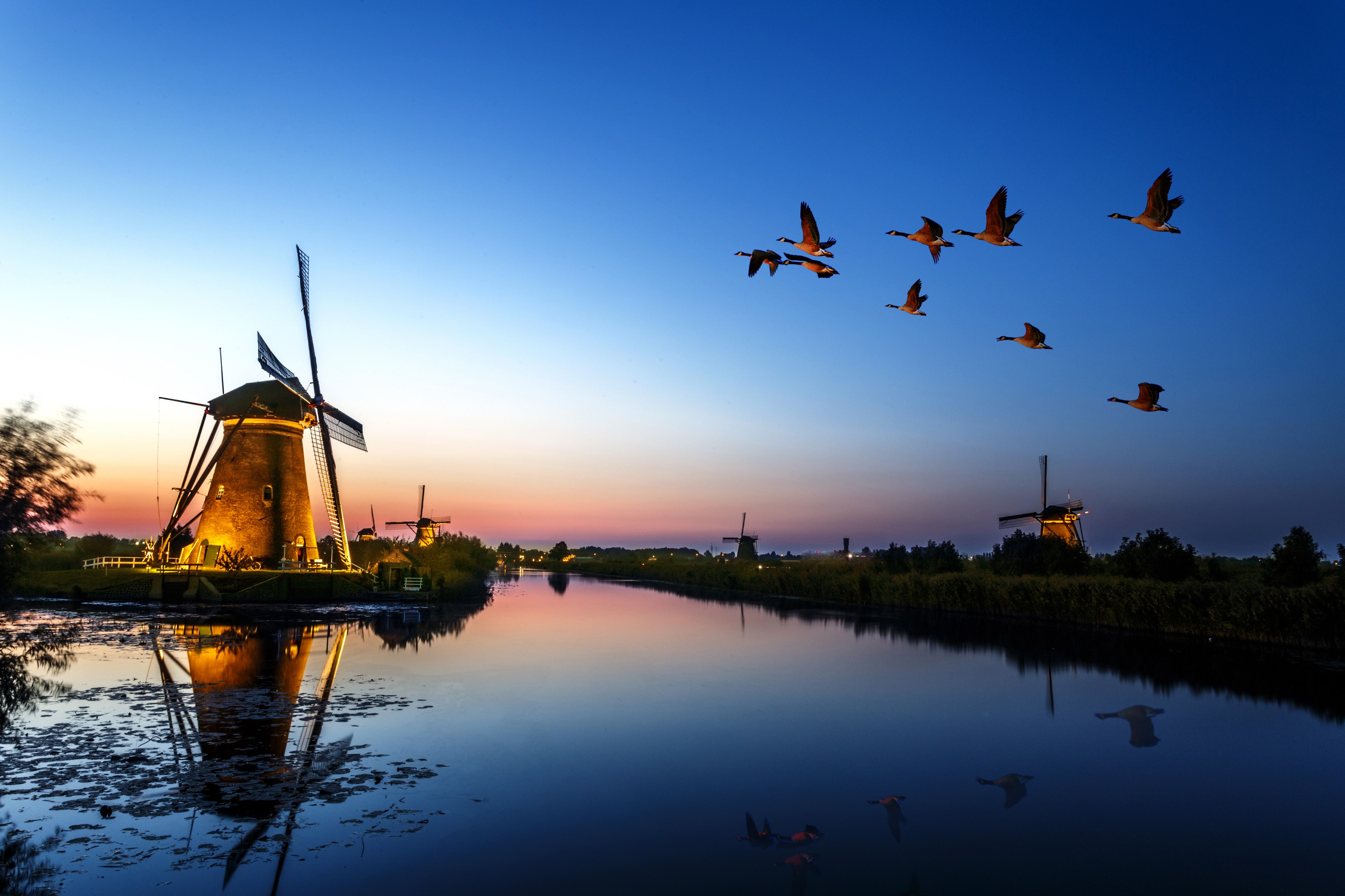 Windmills and geese flying over a river at dusk HD Wallpaper