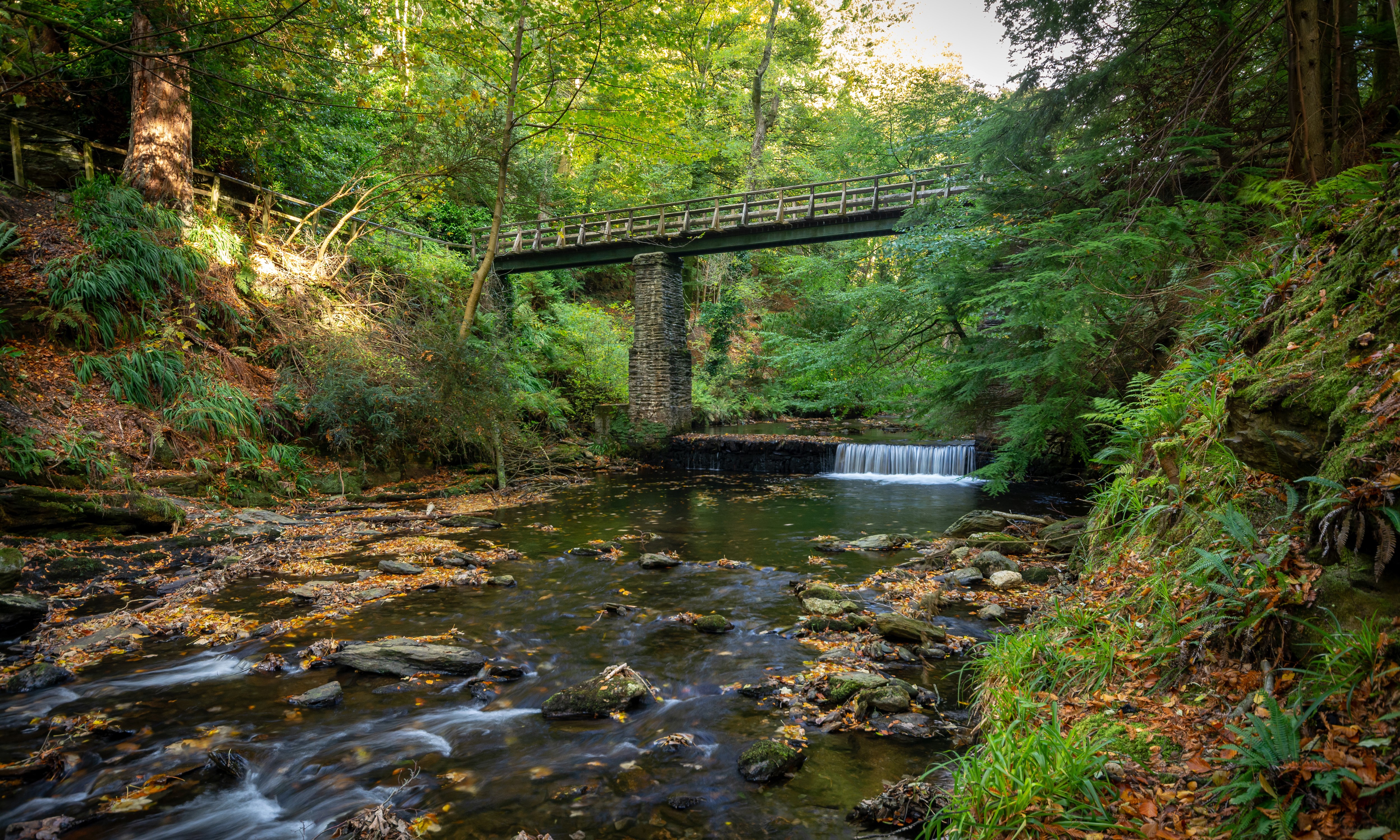 Bridge over River Neb in Autumn, United Kingdom HD Wallpaper