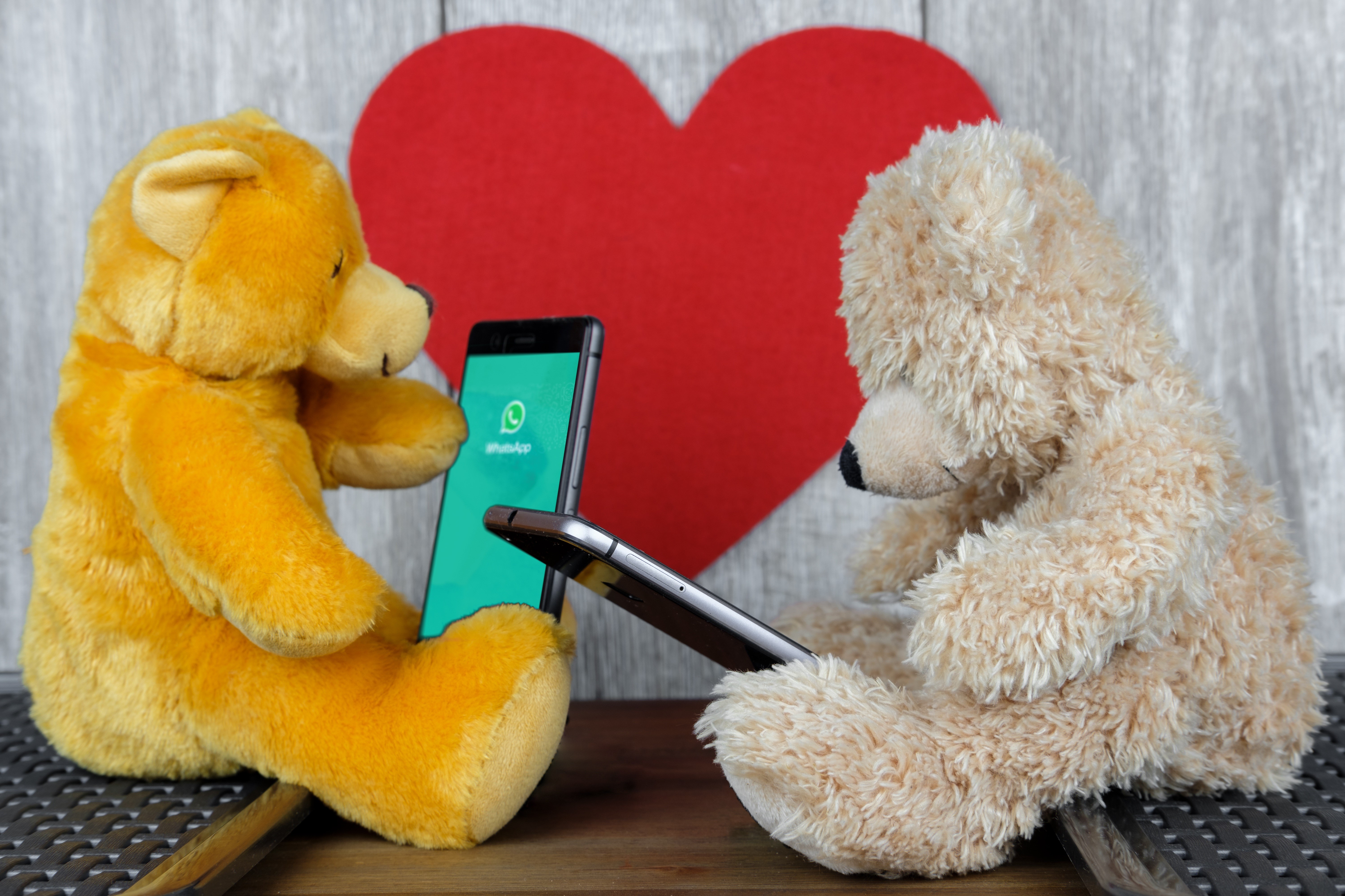 Two teddy bears using smartphones with WhatsApp HD Wallpaper