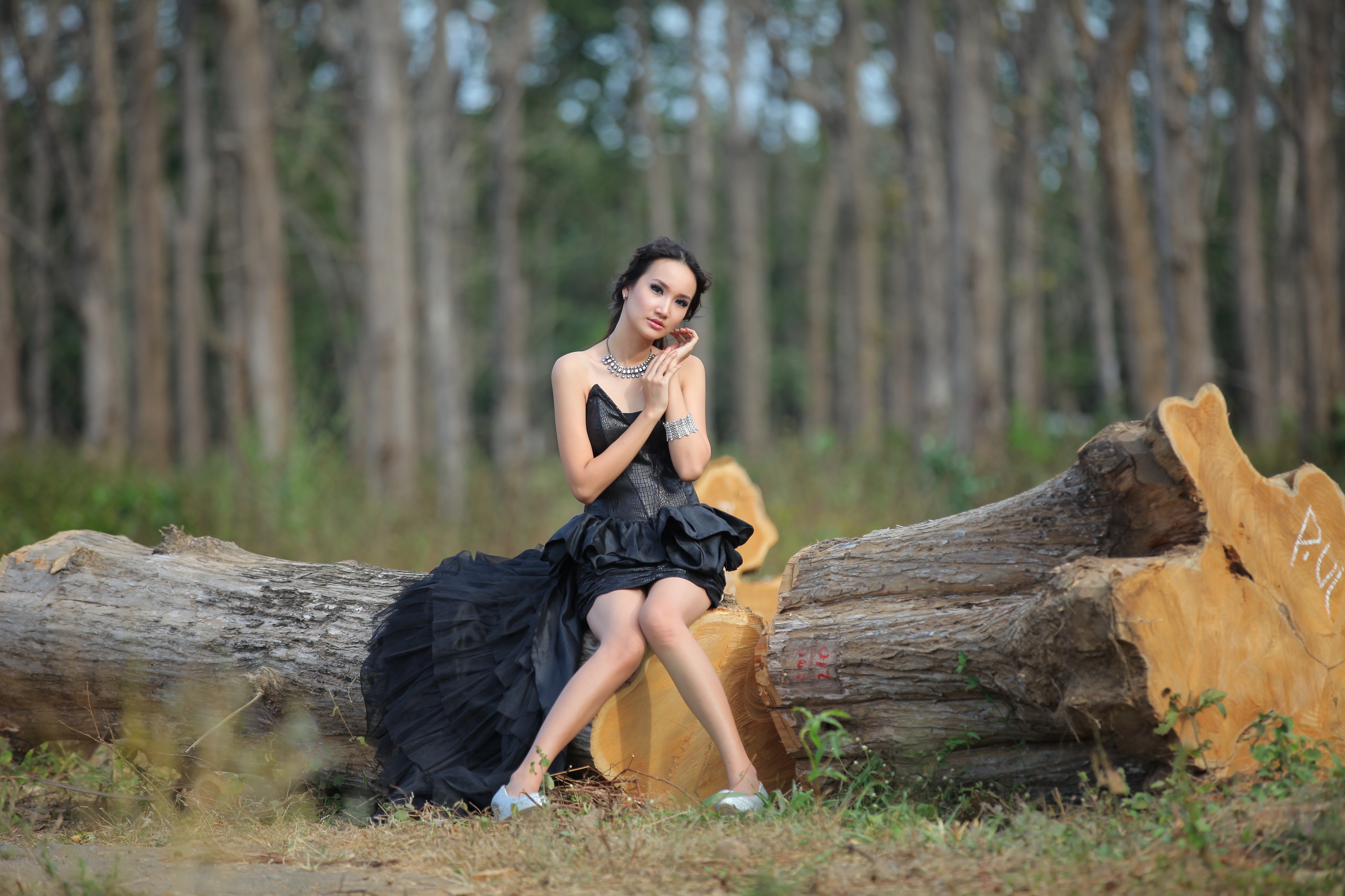 Elegant Brunette in Black Dress on Tree Trunk 4K HD Wallpaper