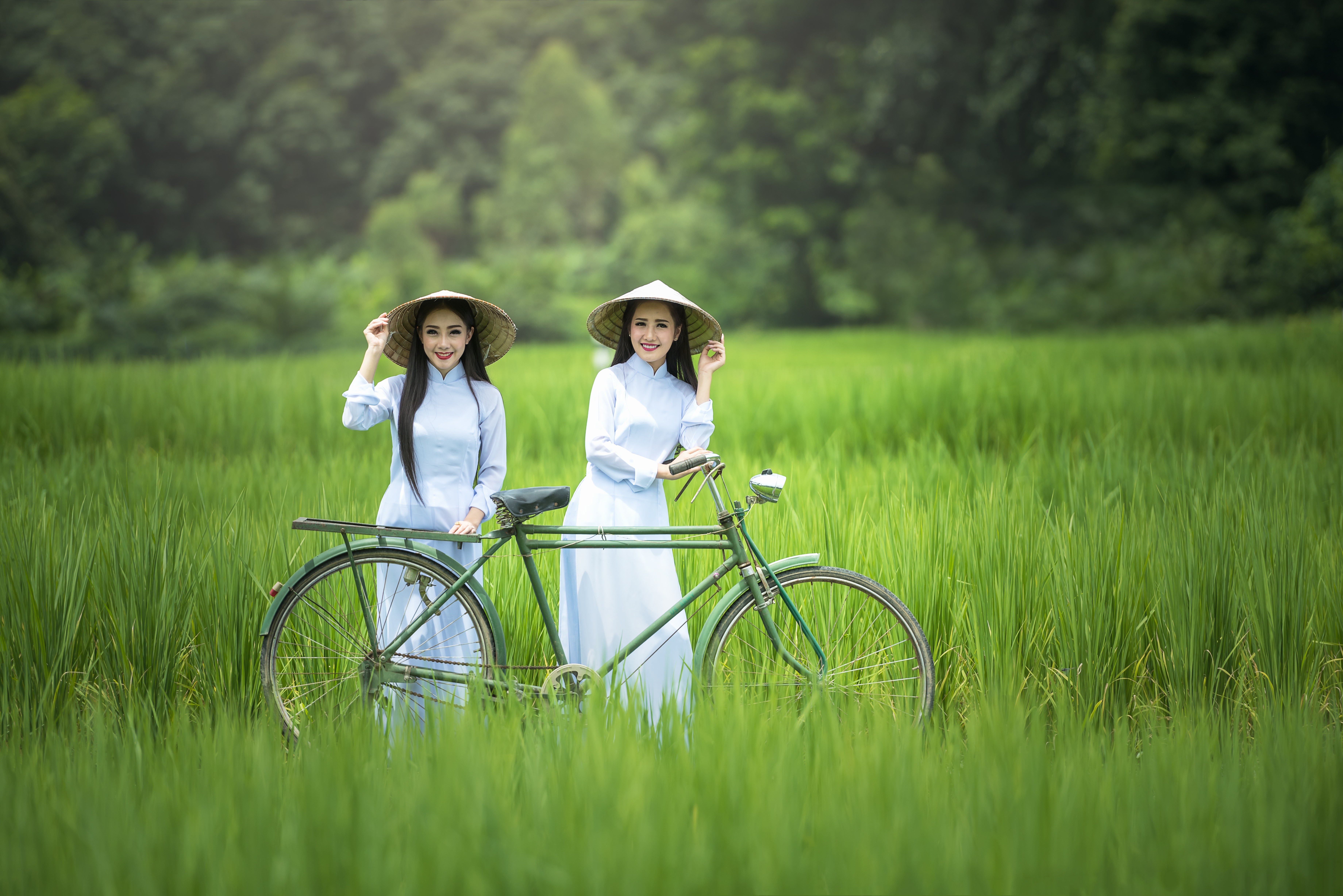 Two Asian women in traditional hats and dresses with a bicycle in a rice field HD Wallpaper