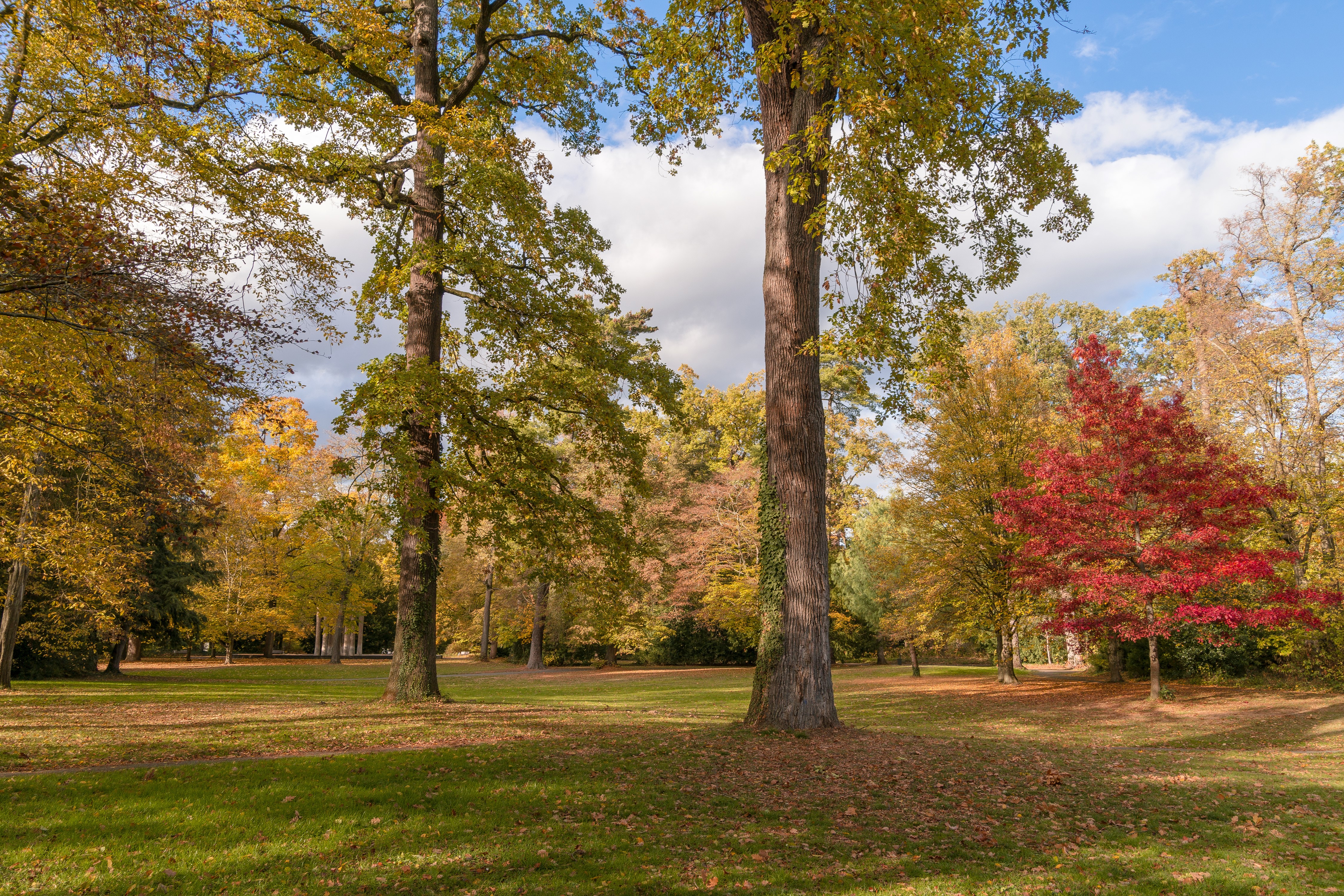 Autumn park in Karlsruhe, Germany HD Wallpaper