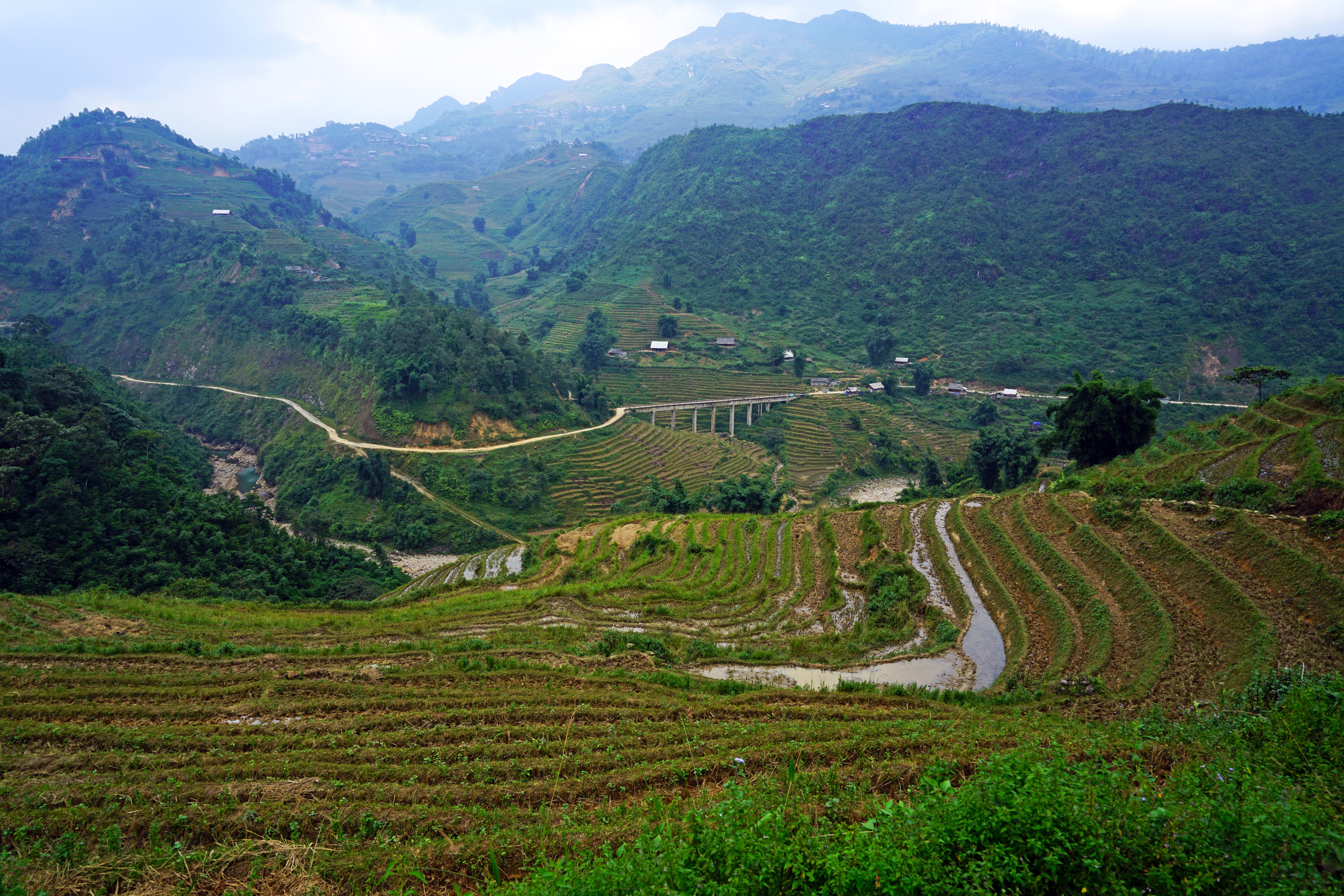 Muong Hoa Valley Vietnam Mountains and Fields HD Wallpaper