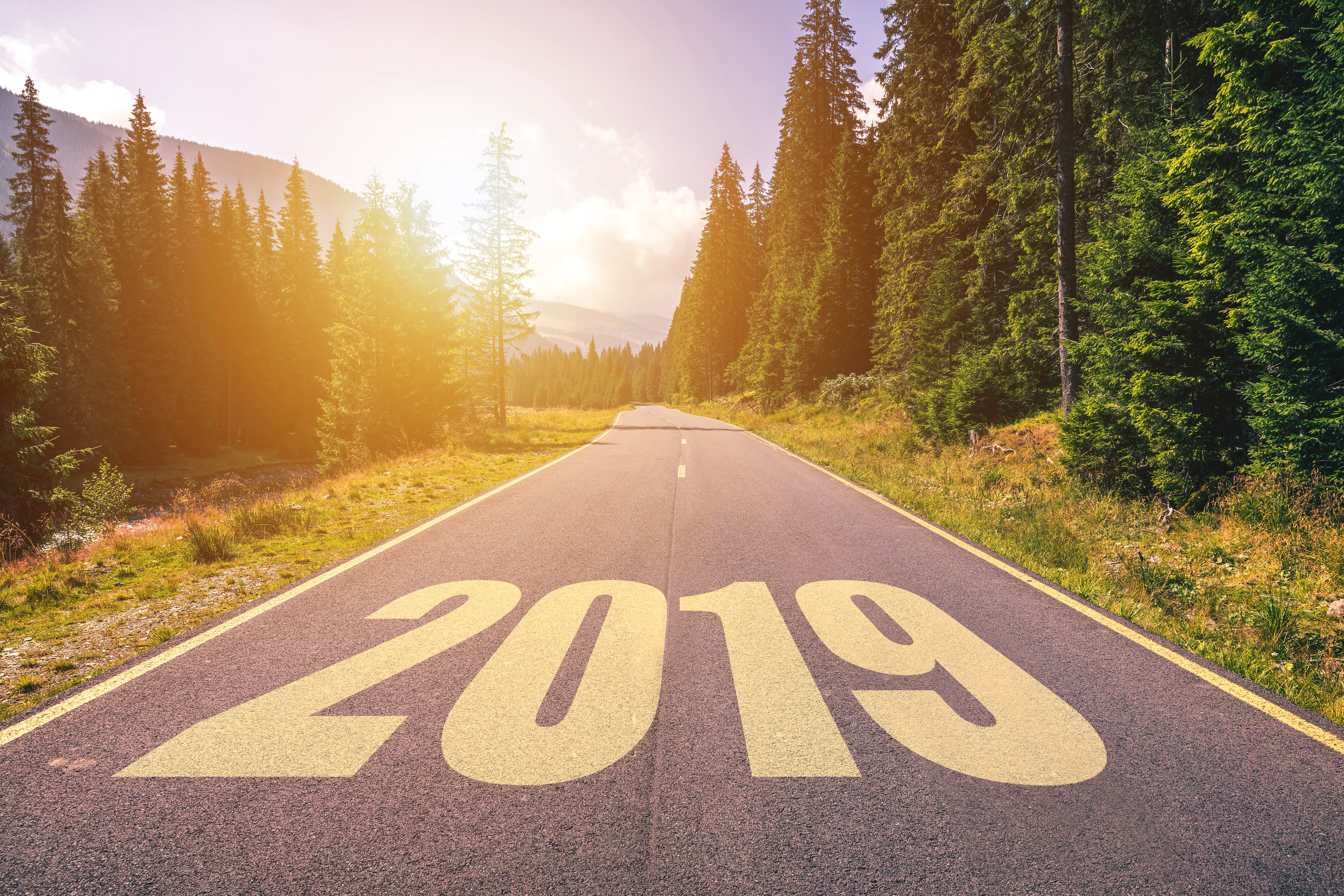 Road with 2019 painted on it through a forest HD Wallpaper