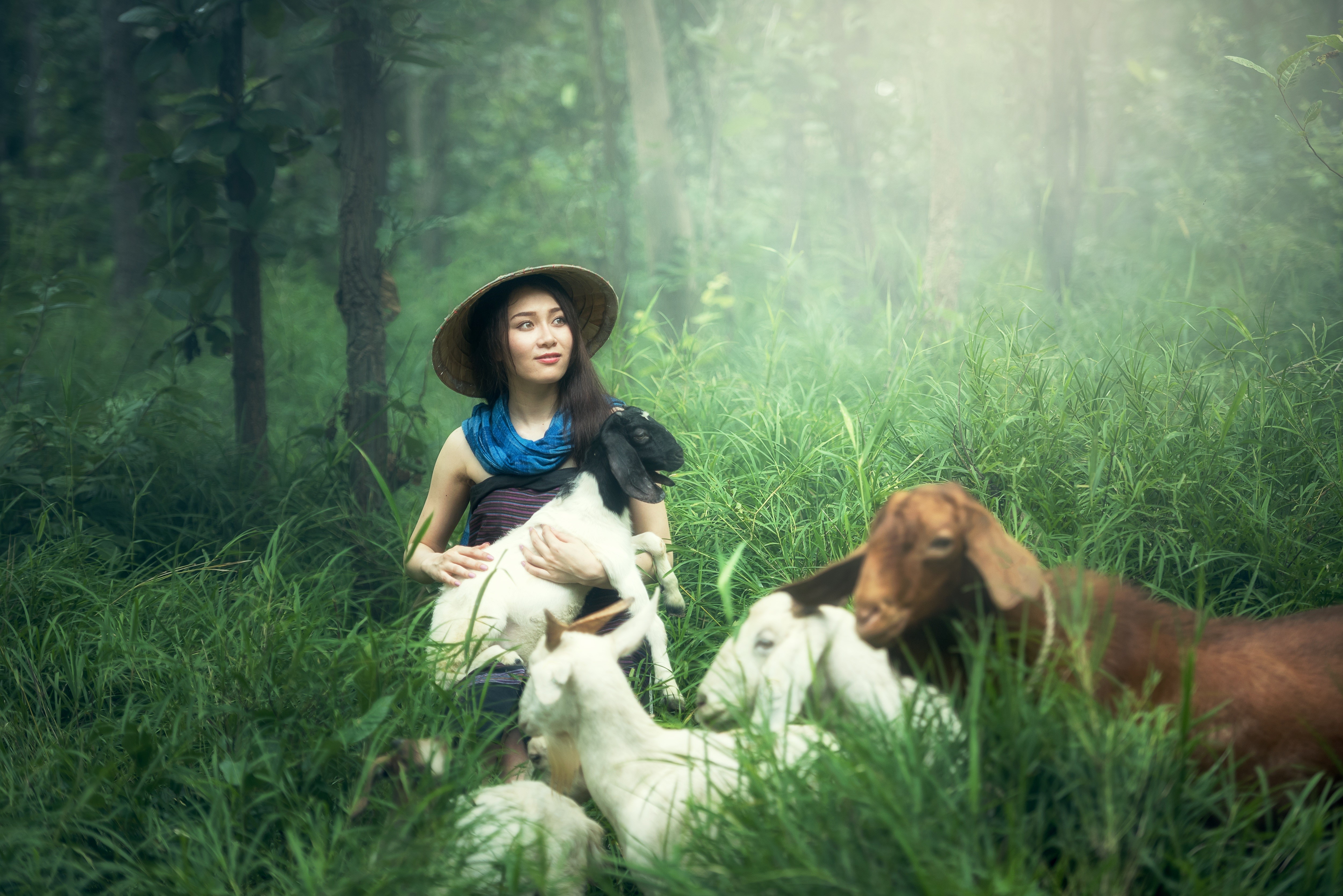 Asian girl in hat with goats in forest HD Wallpaper
